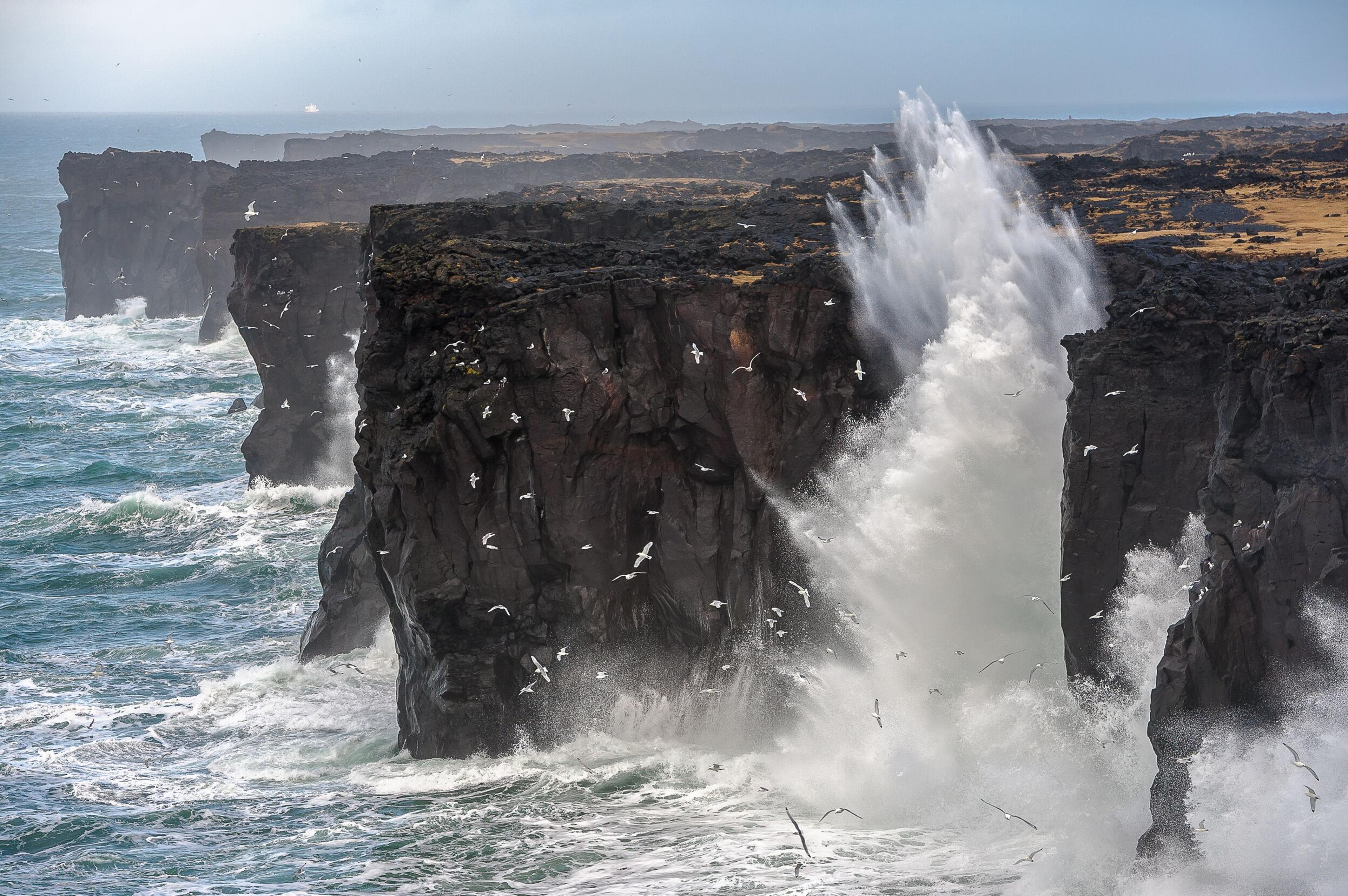 Massive wave crashing into dark sea cliffs with white spray and flying seagulls.