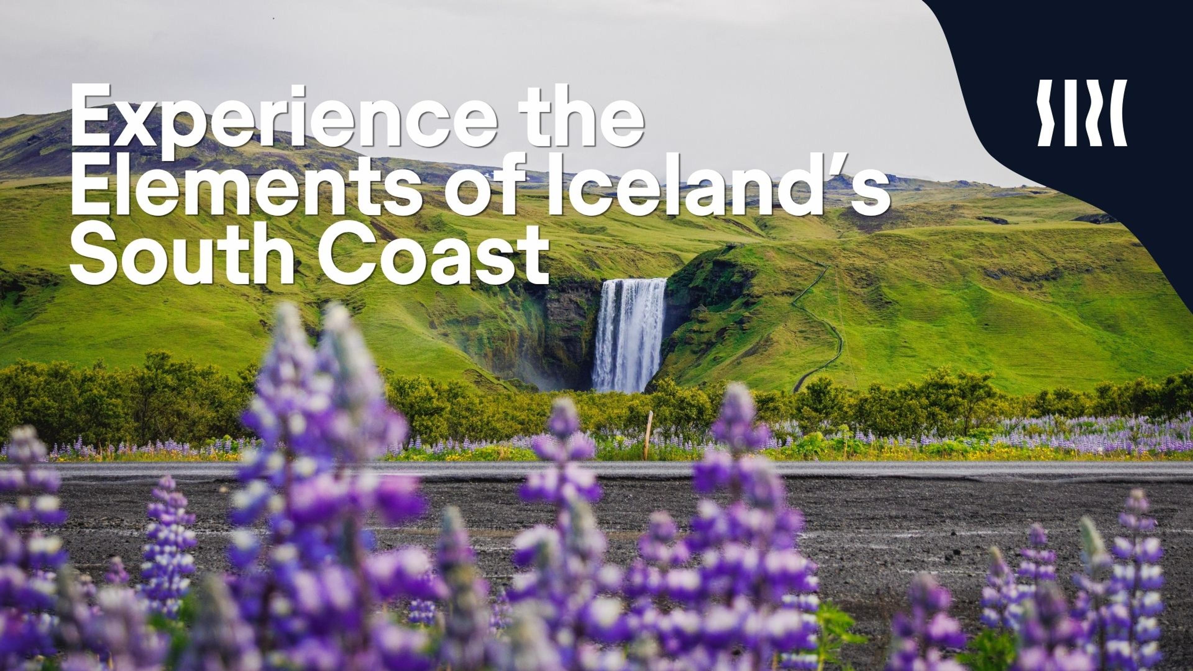 Purple lupine flowers frame a road leading to a waterfall cascading down green hills, with text "Experience the Elements of Iceland's South Coast."