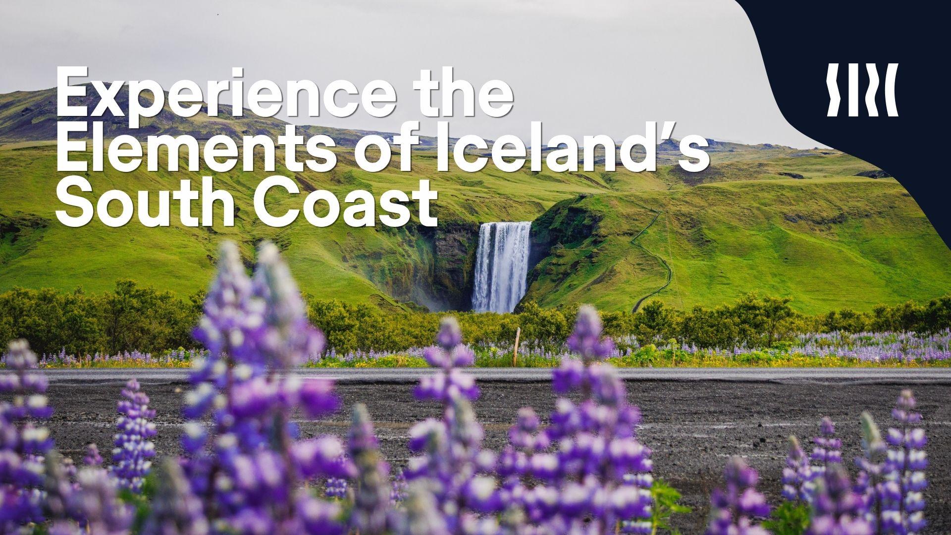 Purple lupine flowers frame a road leading to a waterfall cascading down green hills, with text "Experience the Elements of Iceland's South Coast."