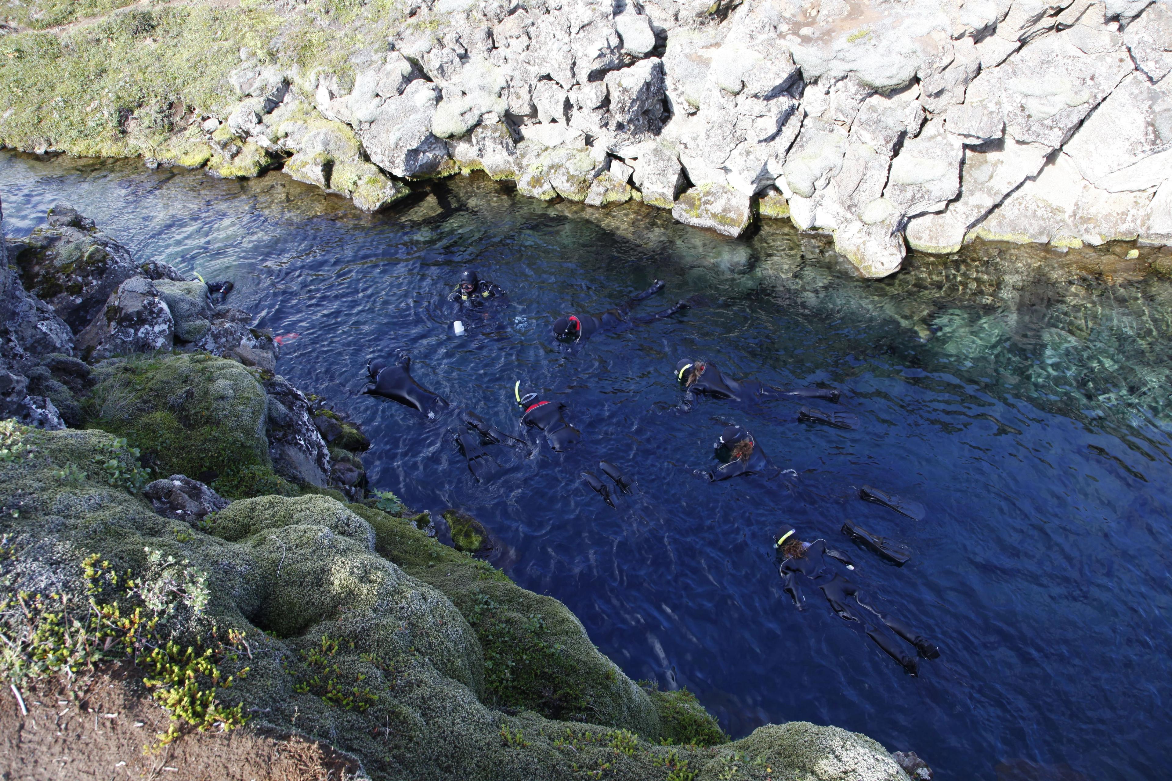 Several snorkelers in a clear blue water channel flanked by rocky and mossy banks.
