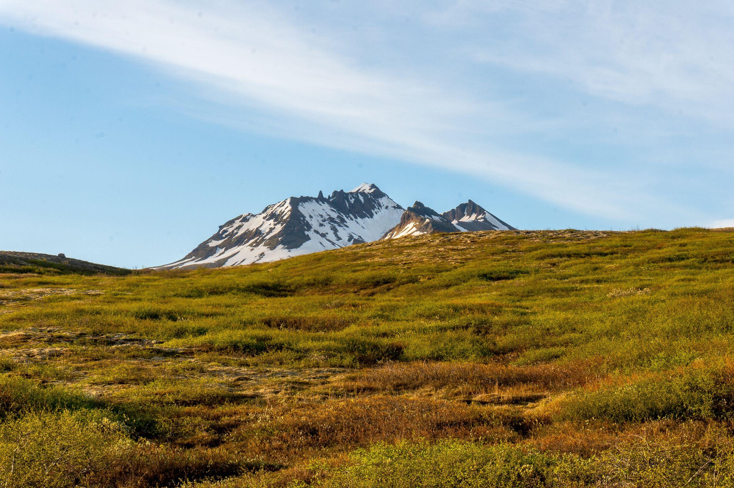 he majestic peaks of Kristínartindar, rising gracefully against the sky, as viewed from the verdant expanses of Skaftafell,