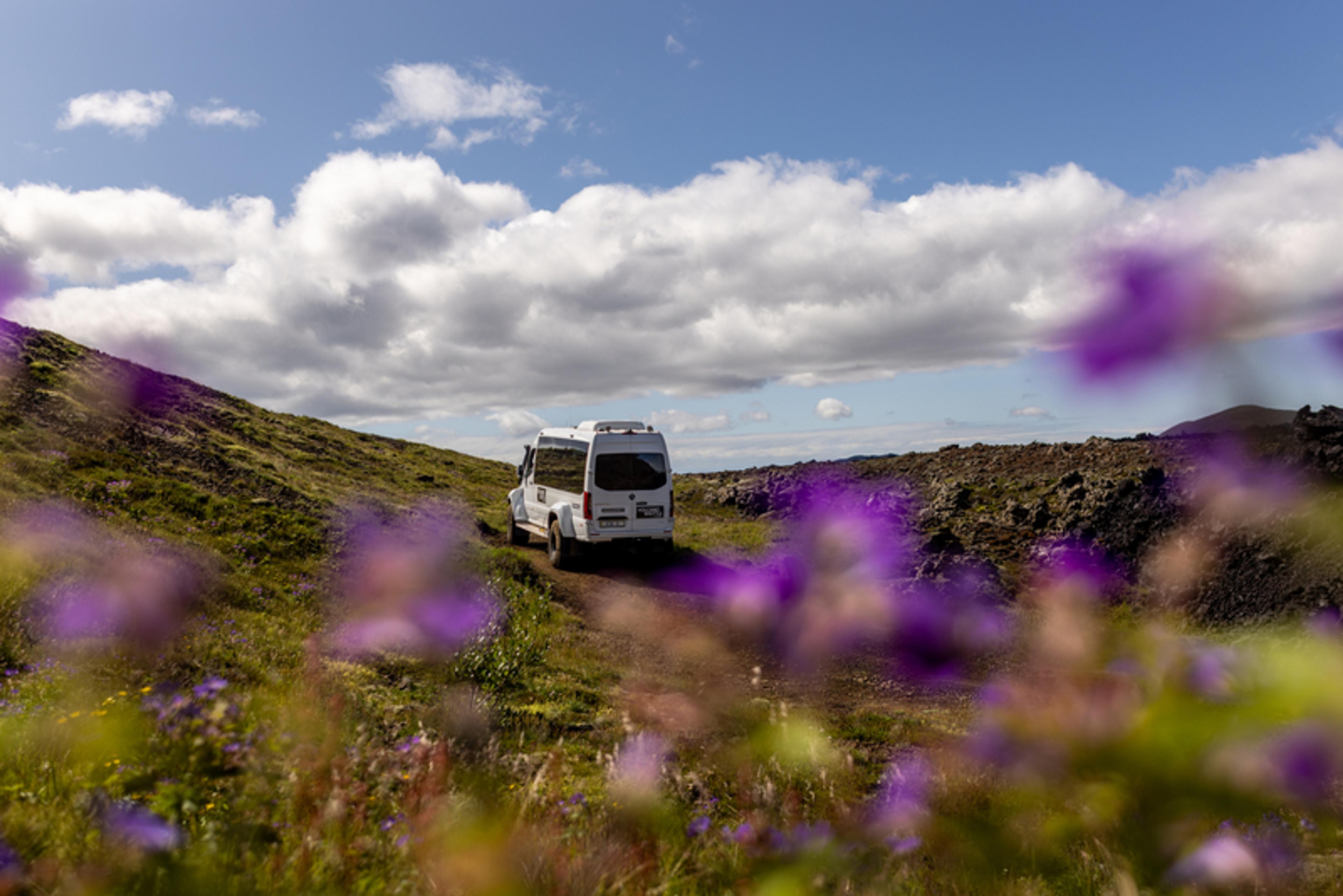 a white van is driving down a dirt road in a field of purple flowers .