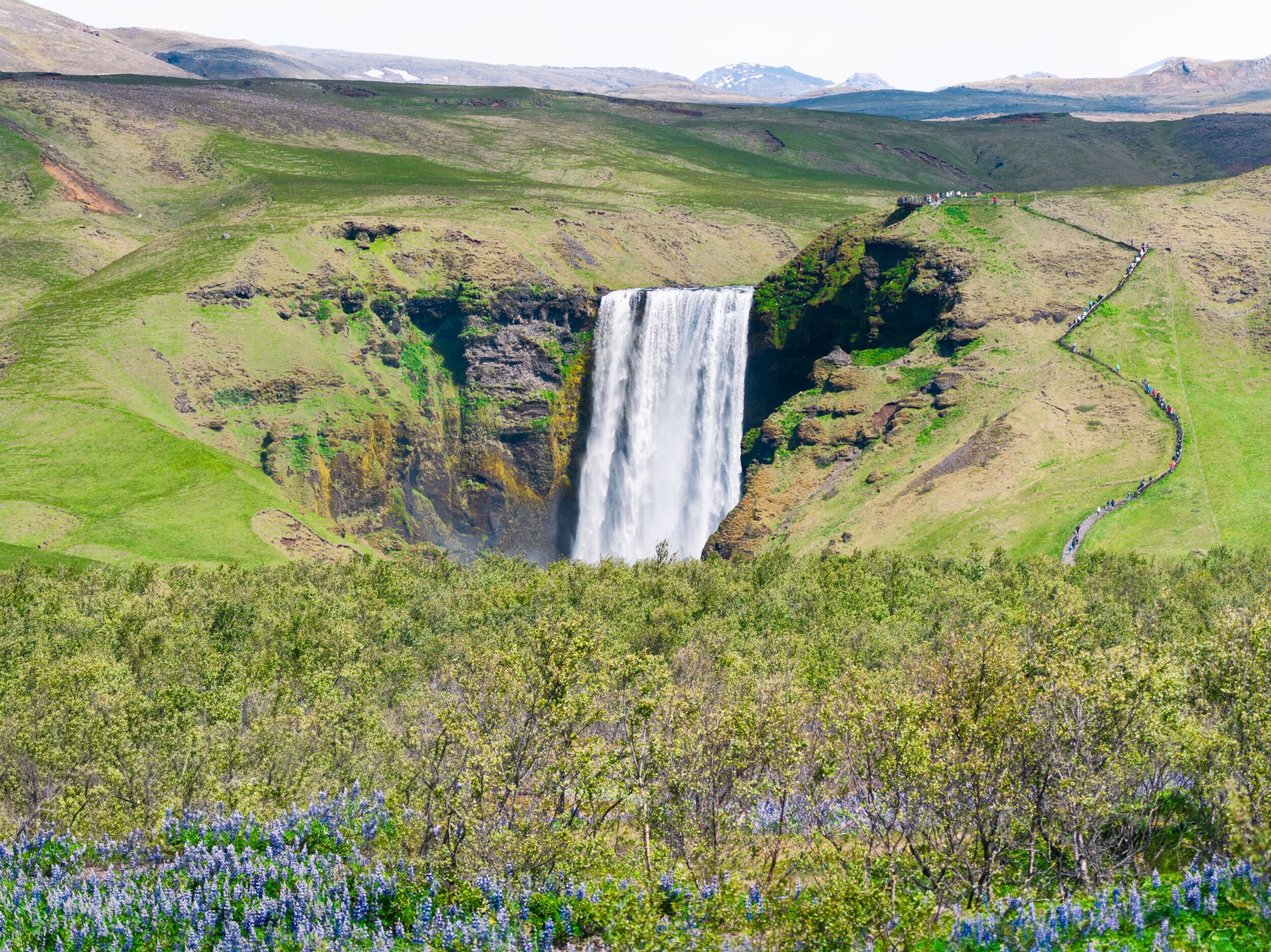 A large waterfall cascades down a cliff into a lush green valley, with a winding trail on the right and purple flowers in the foreground.