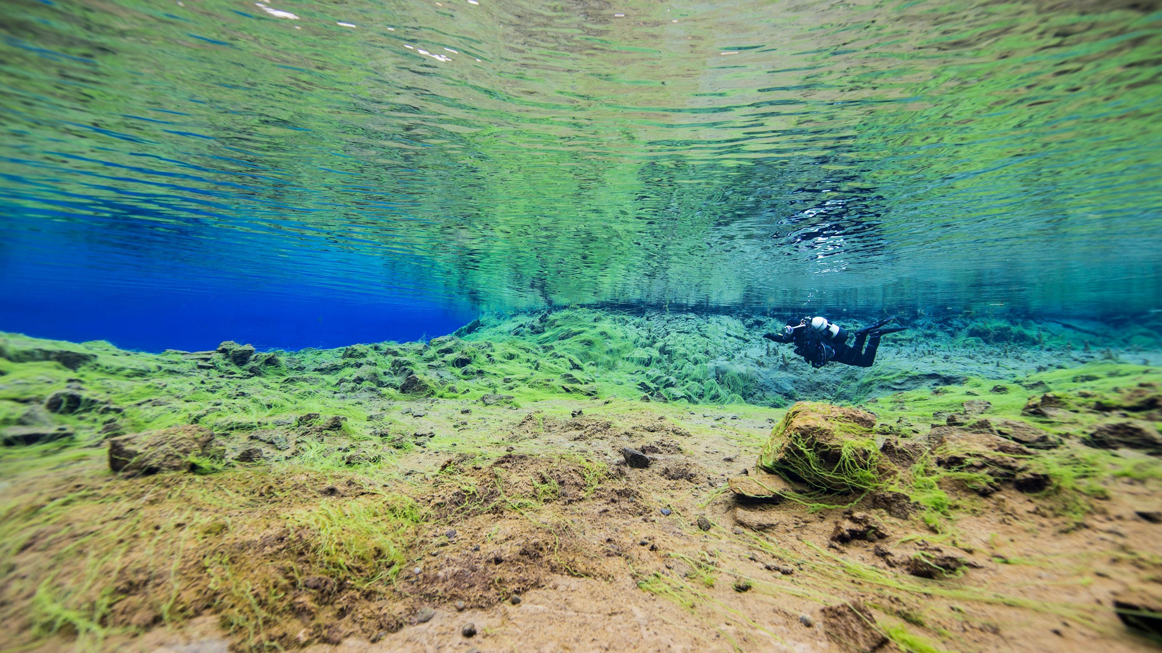 Scuba diver explores a vibrant underwater landscape with clear blue water, green algae-covered rocks, and sandy terrain.