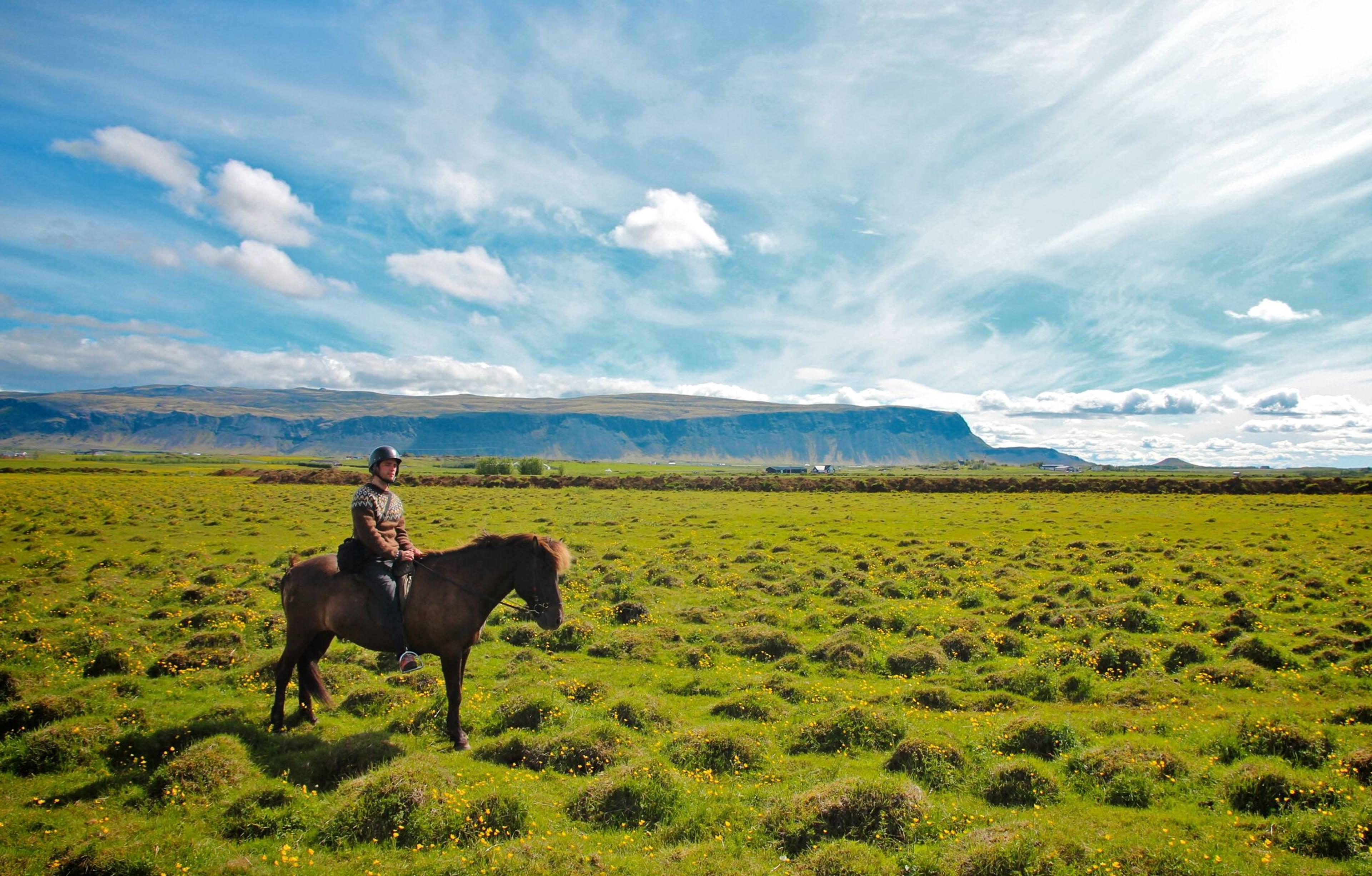 A person on horseback riding through a sunlit green meadow