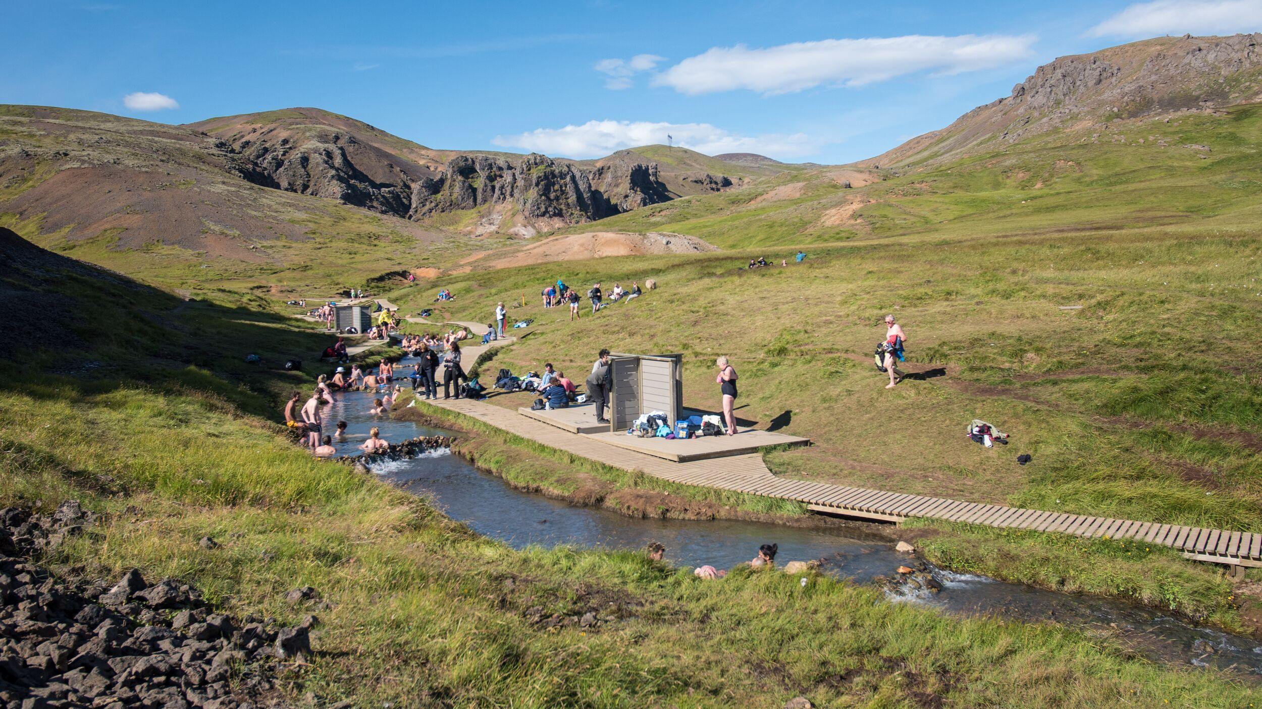 a group of people are swimming in a stream in a field .