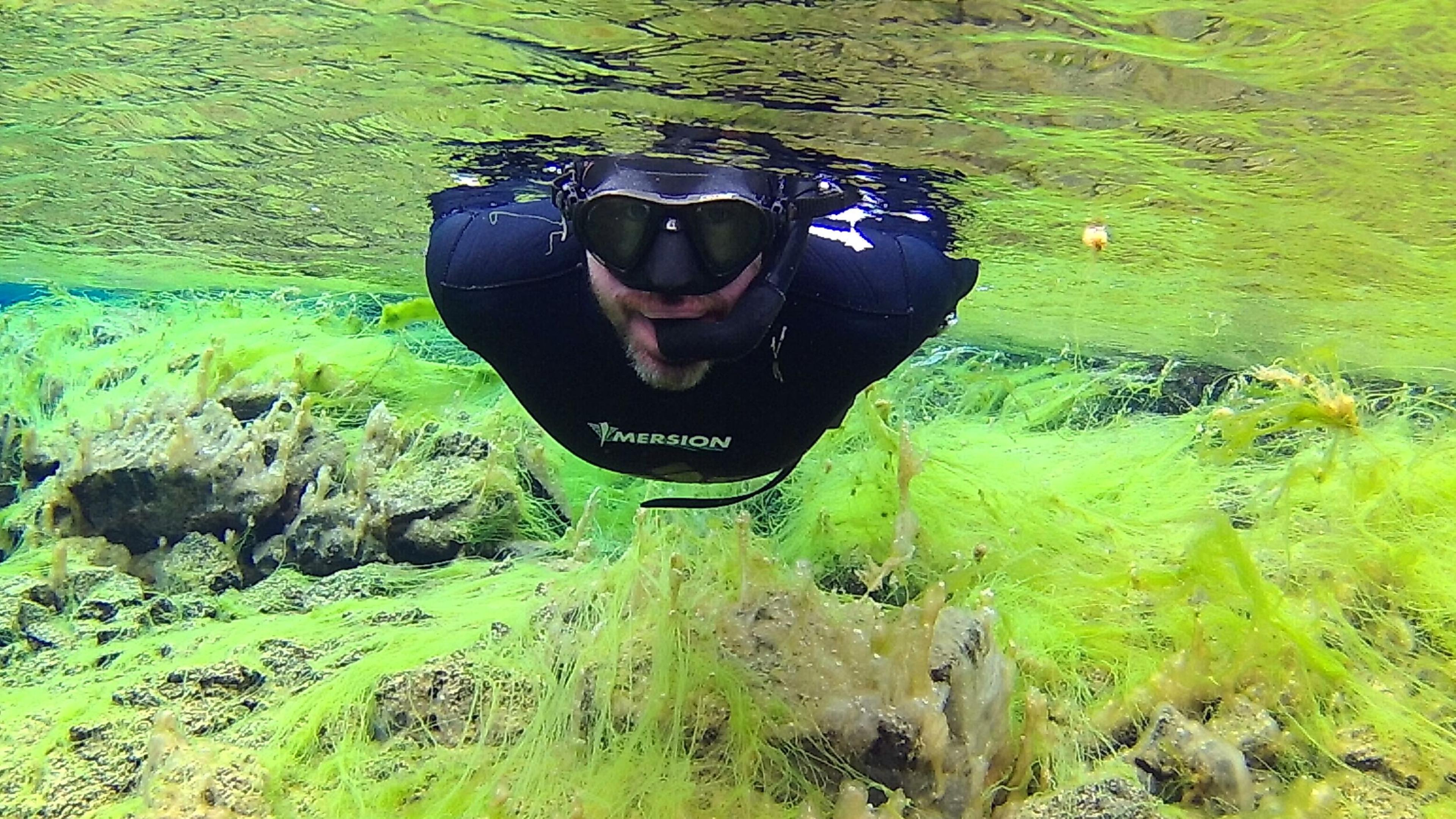 Close-up of a snorkeler in a wetsuit exploring underwater, surrounded by green algae and rocky formations.