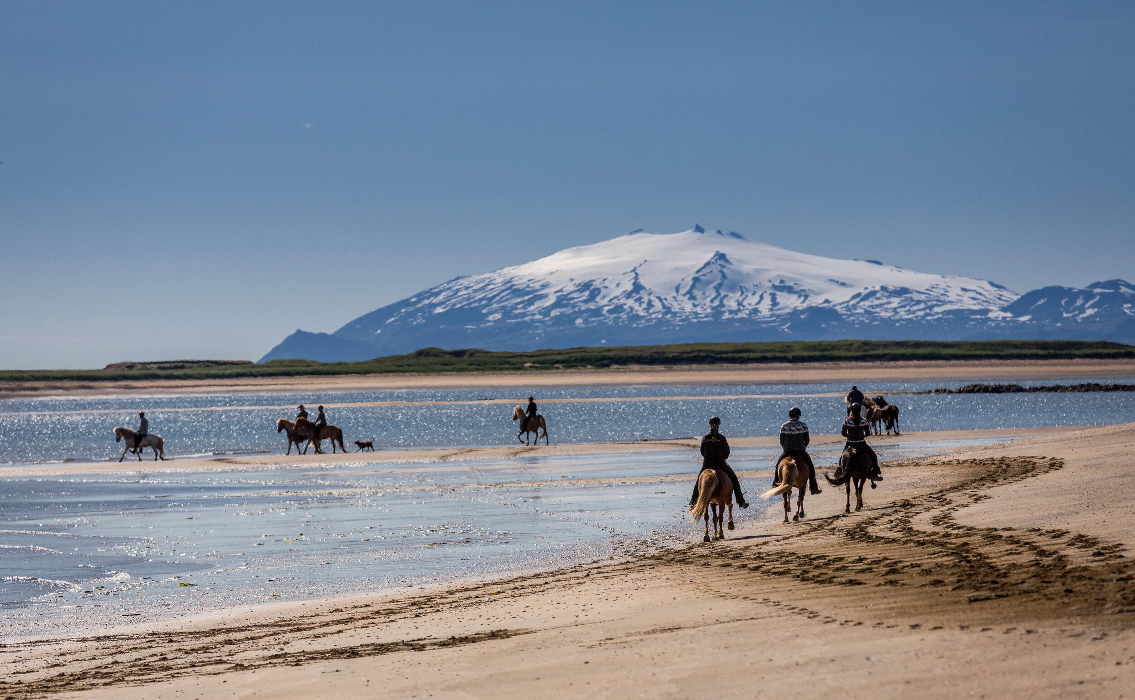  Riders on horseback traverse a sandy beach with shallow waters, with a snow-capped mountain visible in the distance under a clear blue sky.