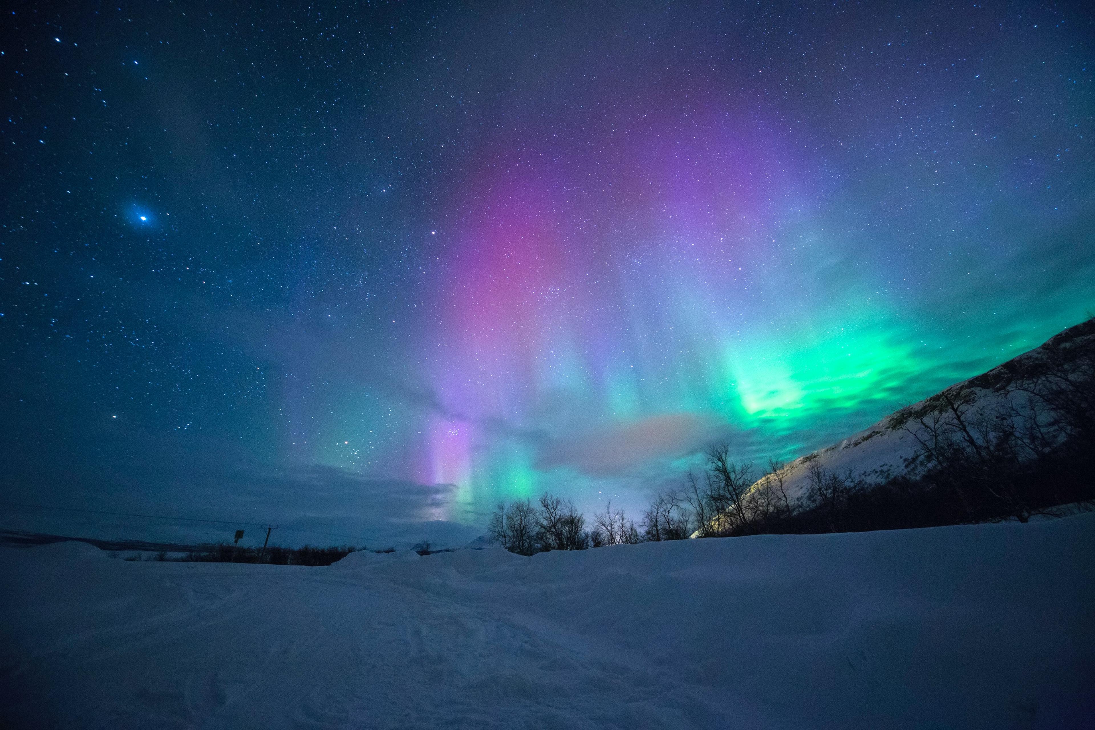 A breathtaking display of the Northern Lights in a spectrum of pink, green, and purple hues over a snowy landscape, with stars twinkling in the vast night sky.