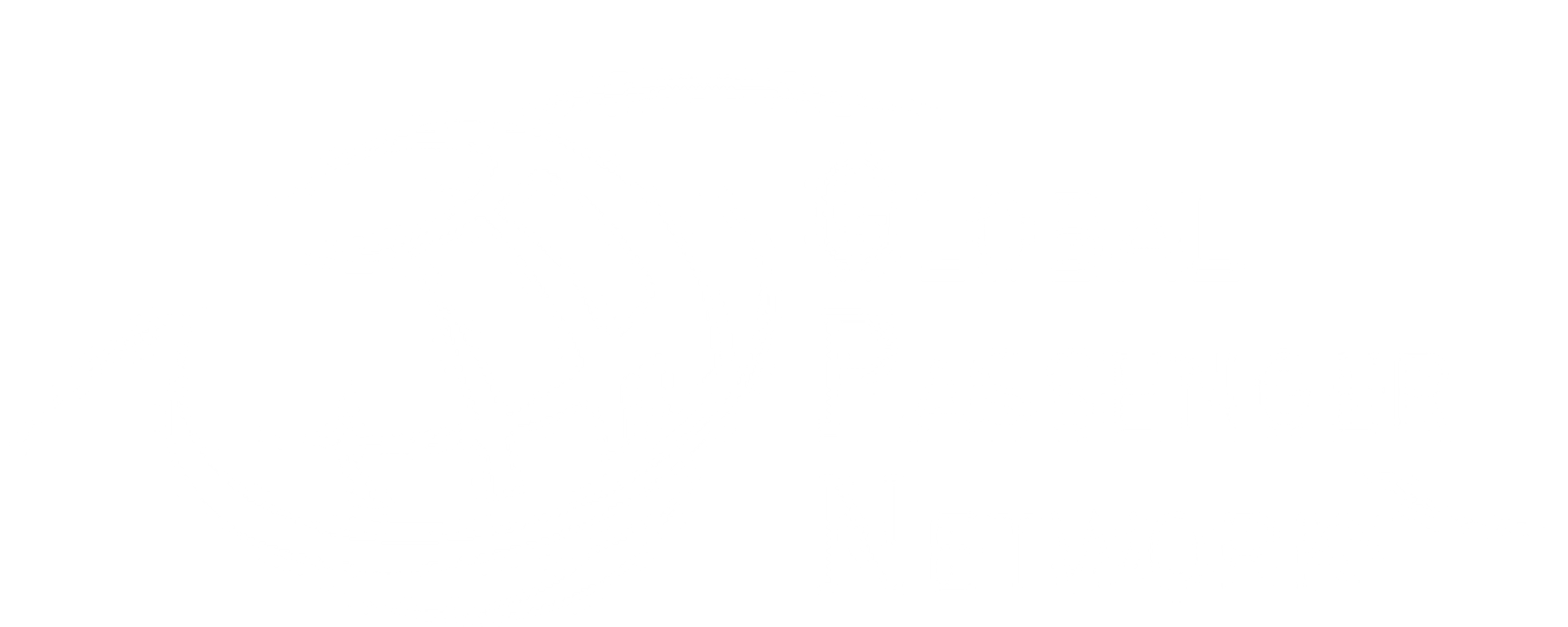 Global Passenger Network
