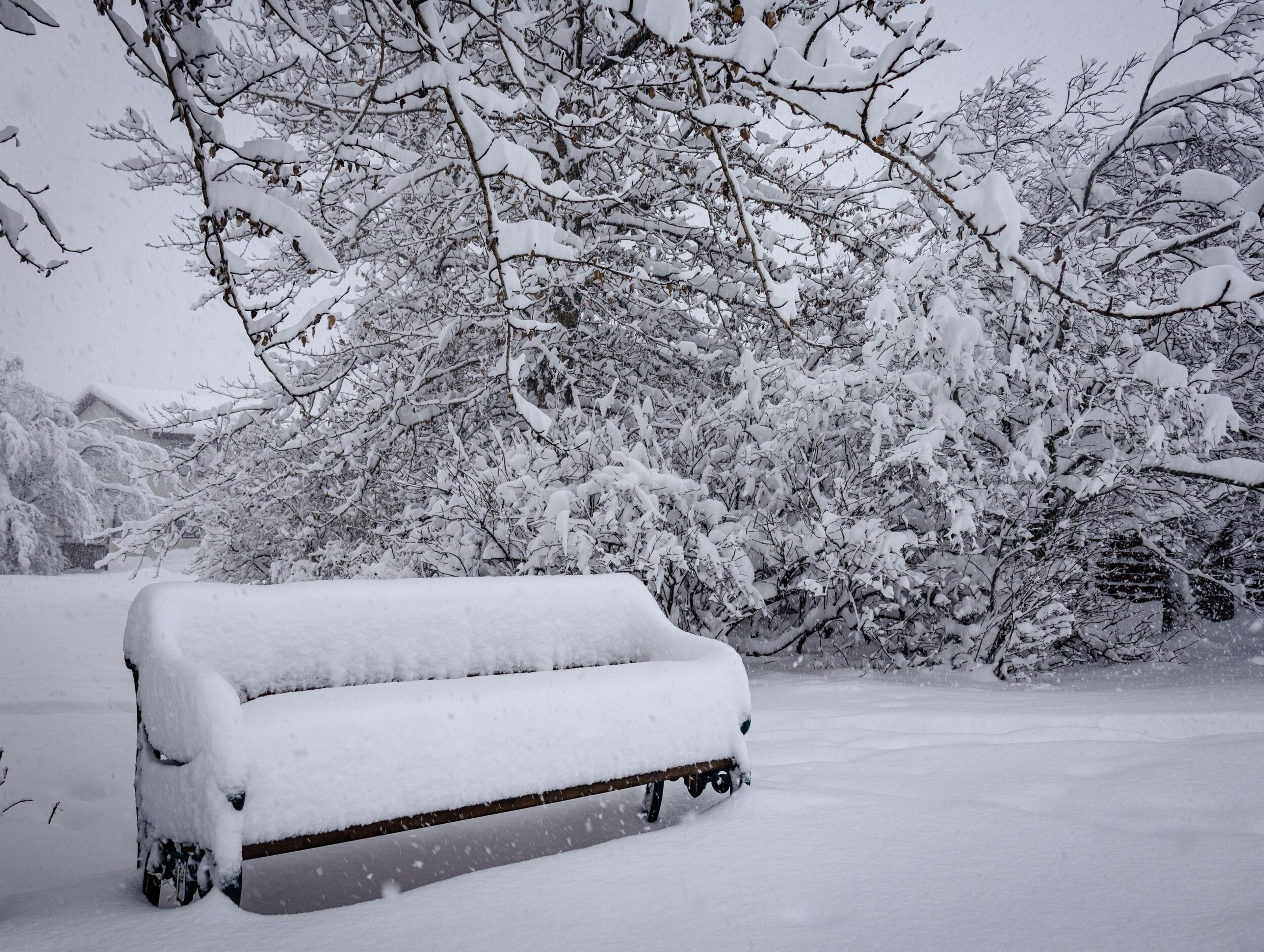 A park bench completely covered in a thick layer of snow, with snow-laden trees and bushes in the background and snow falling.