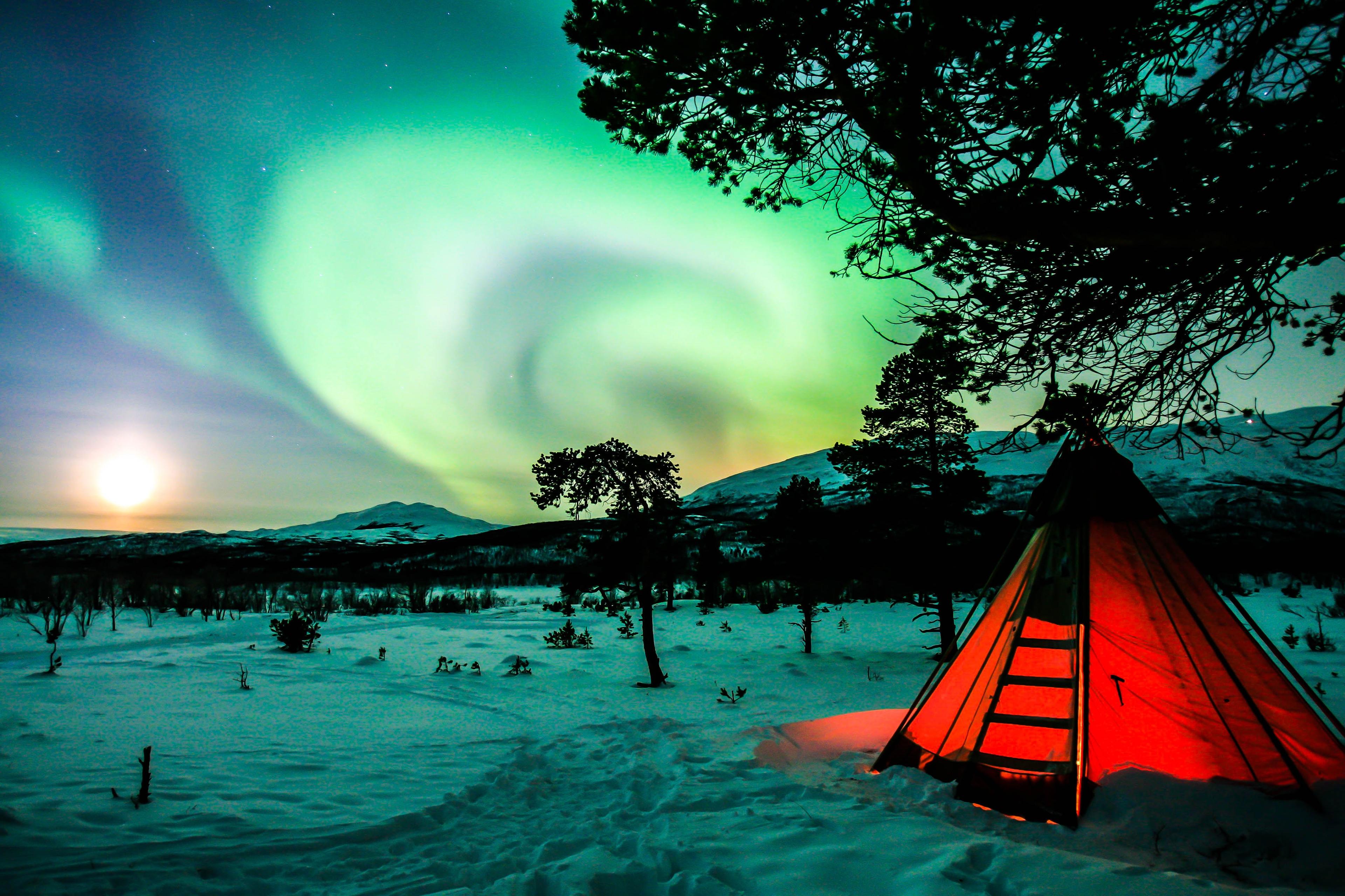 A glowing tent under the swirling green Northern Lights in a snowy landscape, with a tree silhouetted against the twilight sky and the moon rising in the background.