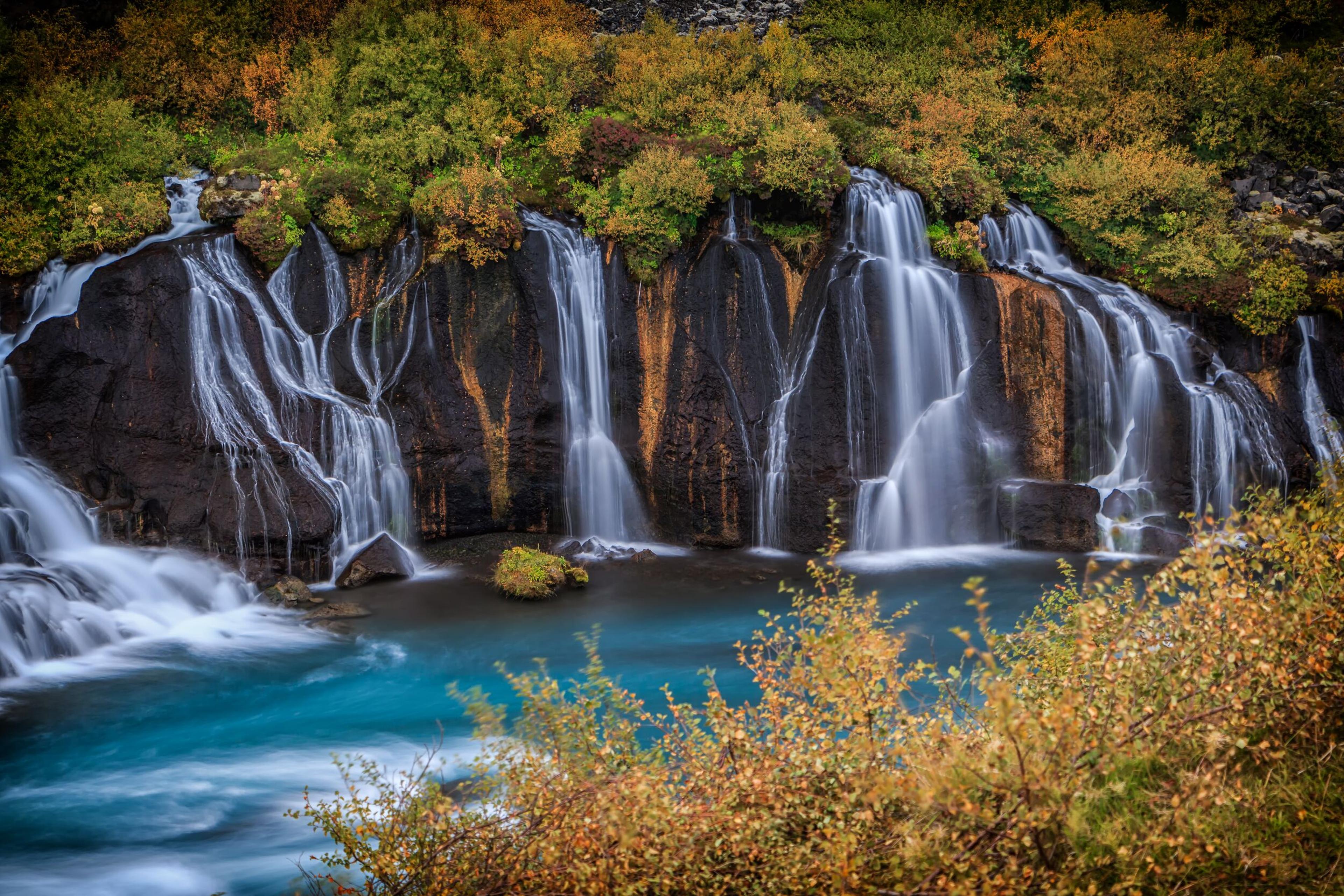 "The cascading streams of Hraunfossar waterfalls, flowing through mossy rocks into a turquoise river, surrounded by lush greenery in Iceland.