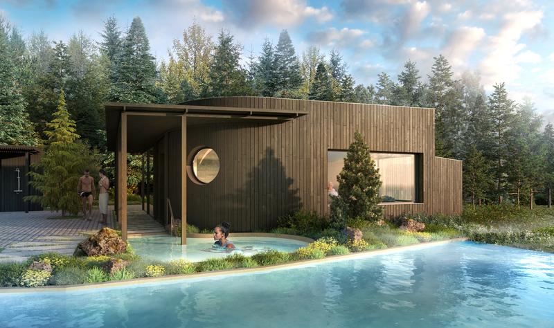 an artist 's impression of a house with a pool in front of it in the middle of a forest .