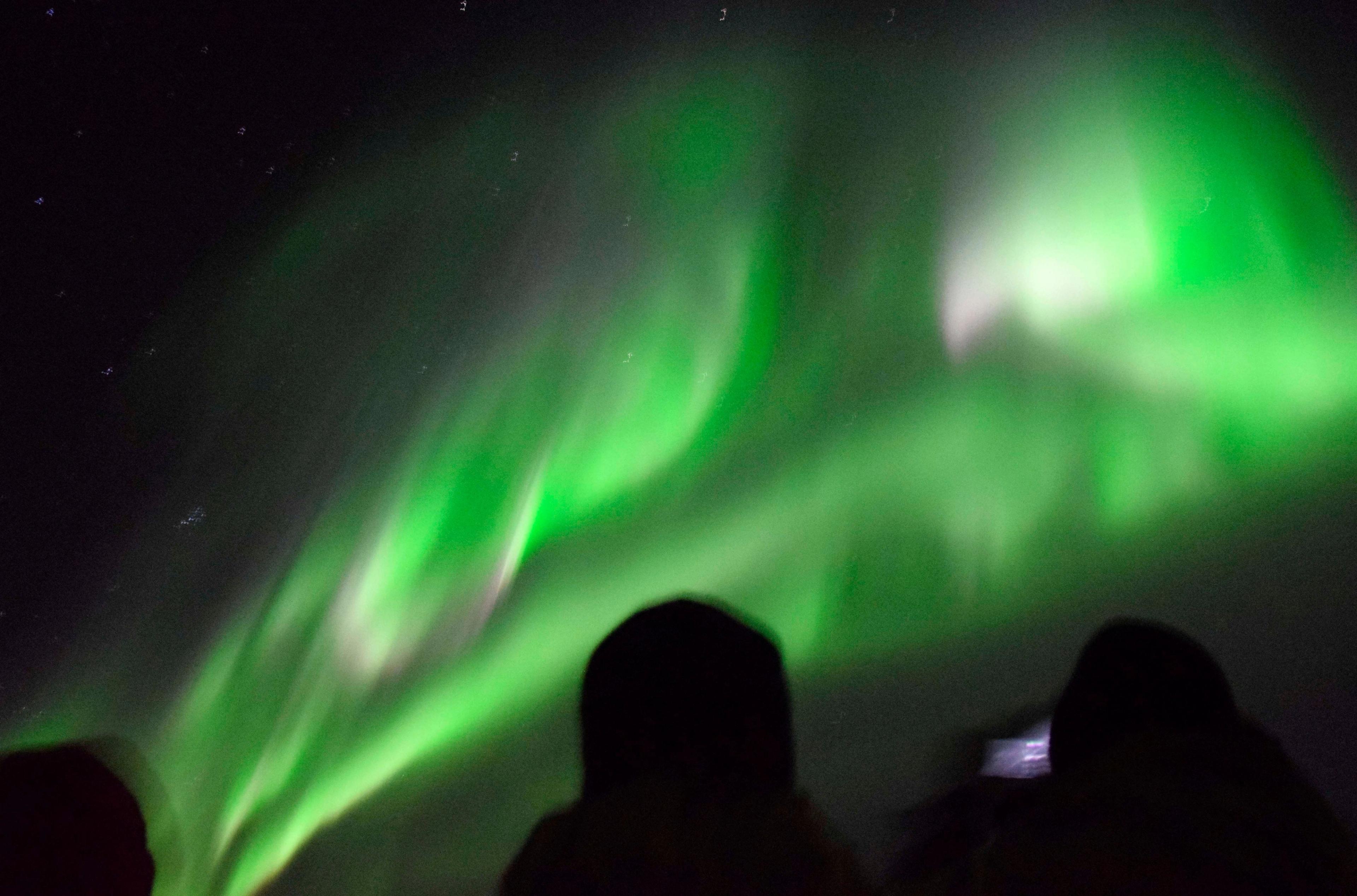 Silhouettes of people watching and photographing vibrant green Northern Lights.