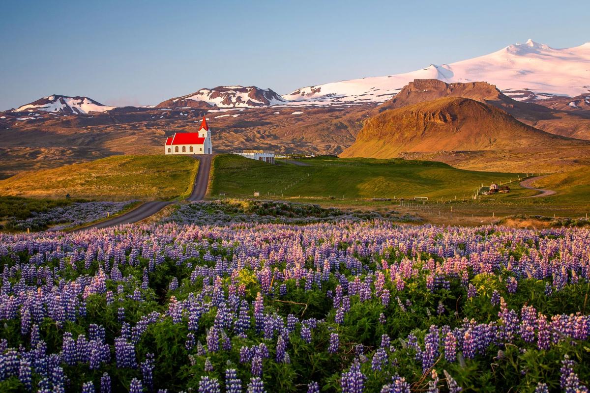 Snæfellsnes: A Snapshot of Iceland's Natural Wonders