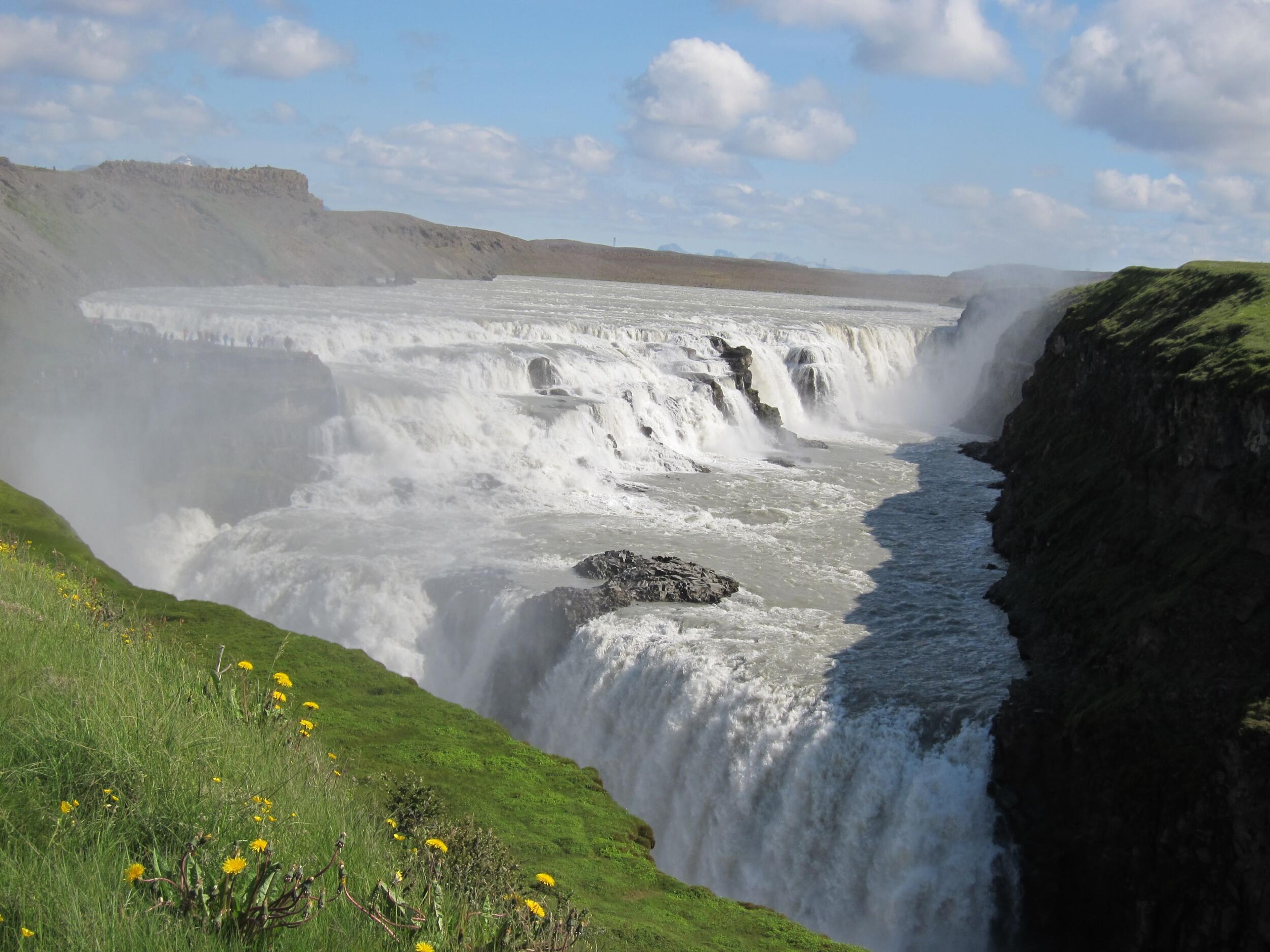 Gullfoss waterfall during summer time. Yellow flowers and grass in the foreground.