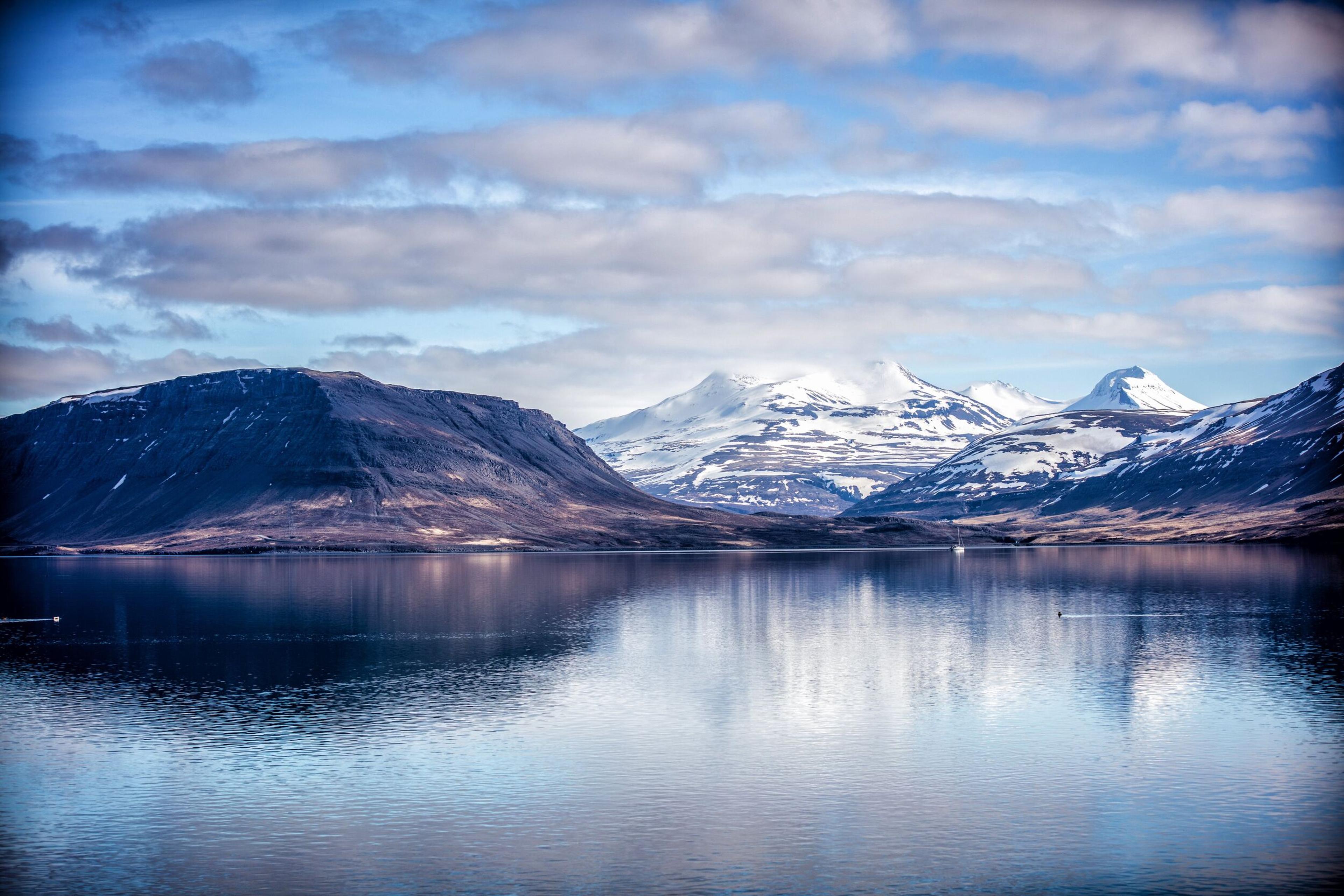 A road sneaking trough a serene fjord landscape 