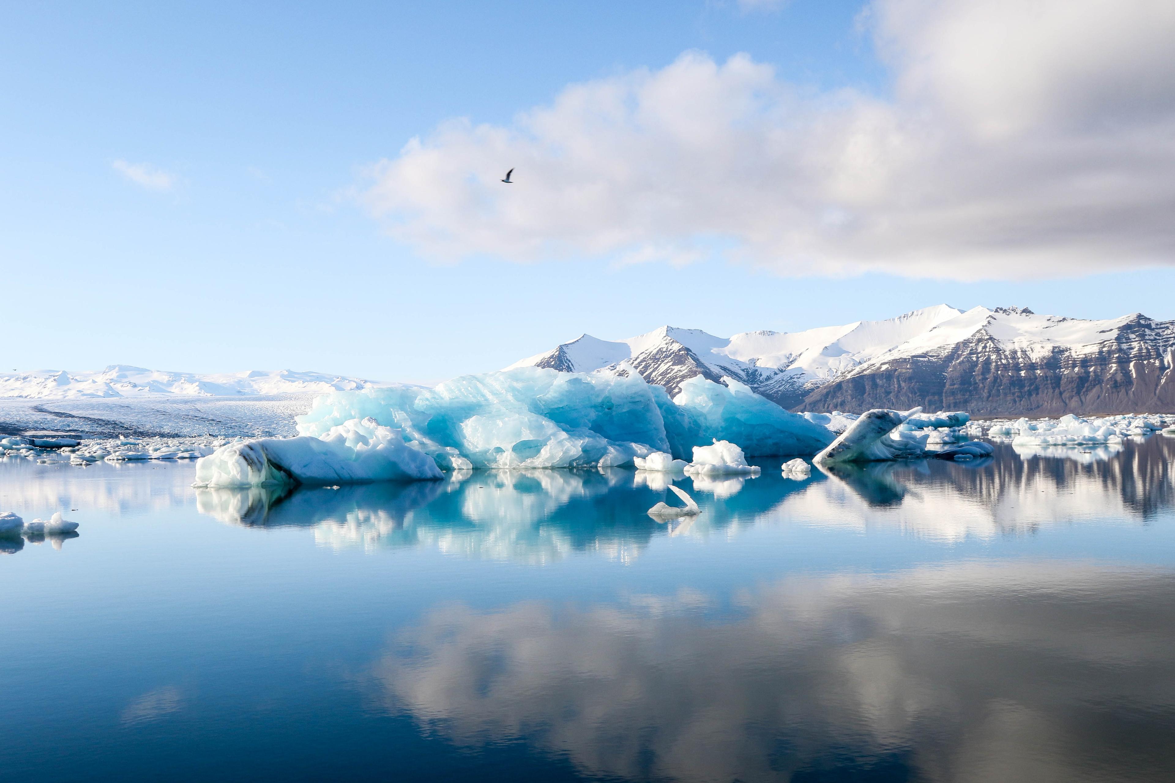 Icebergs floating on a lagoon in Iceland.