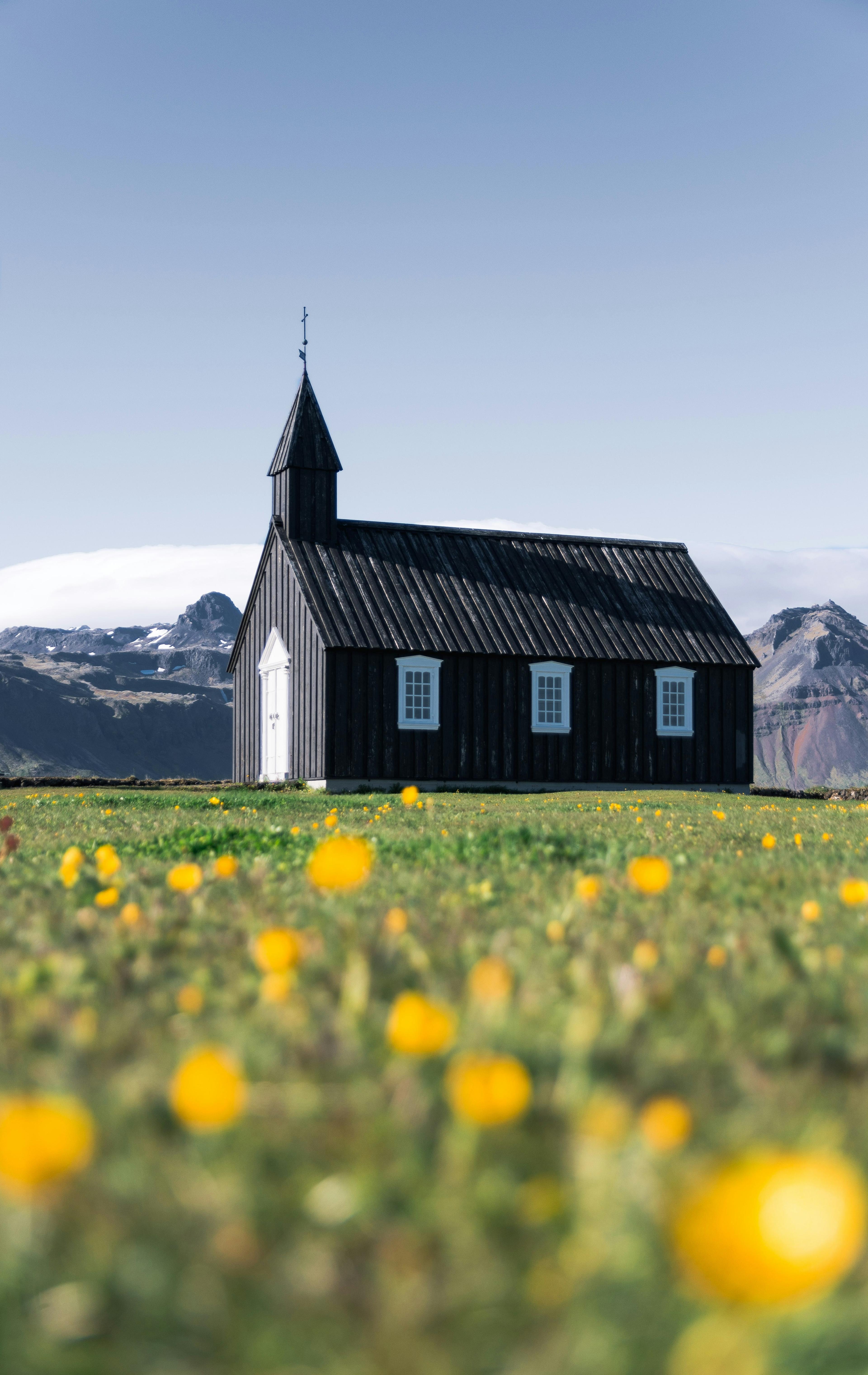 A quaint black church stands amidst a field of yellow flowers, with towering mountains in the background under a clear blue sky.