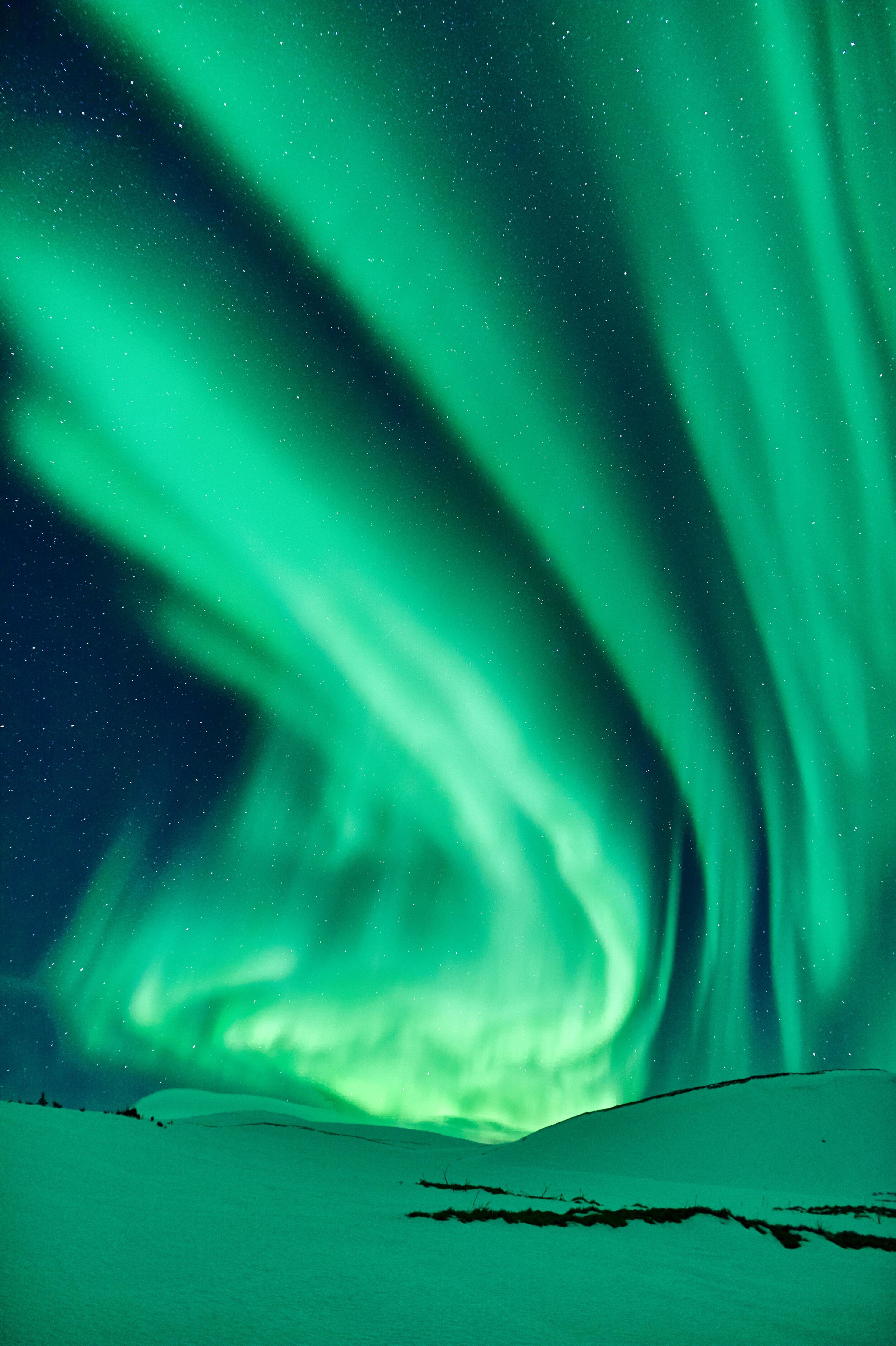 Vibrant green aurora borealis illuminates a starry night sky above a snowy landscape.