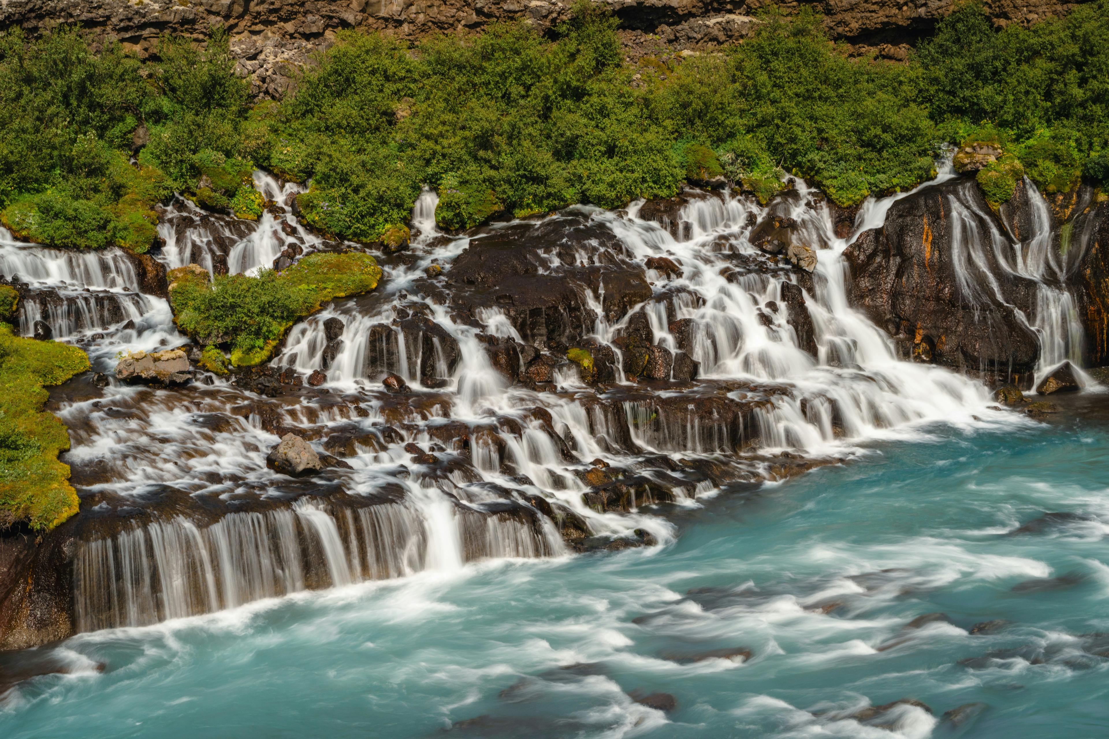 Hraunfossar waterfalls surrounded by lush greenery located on Iceland's scenic Silver Circle route.