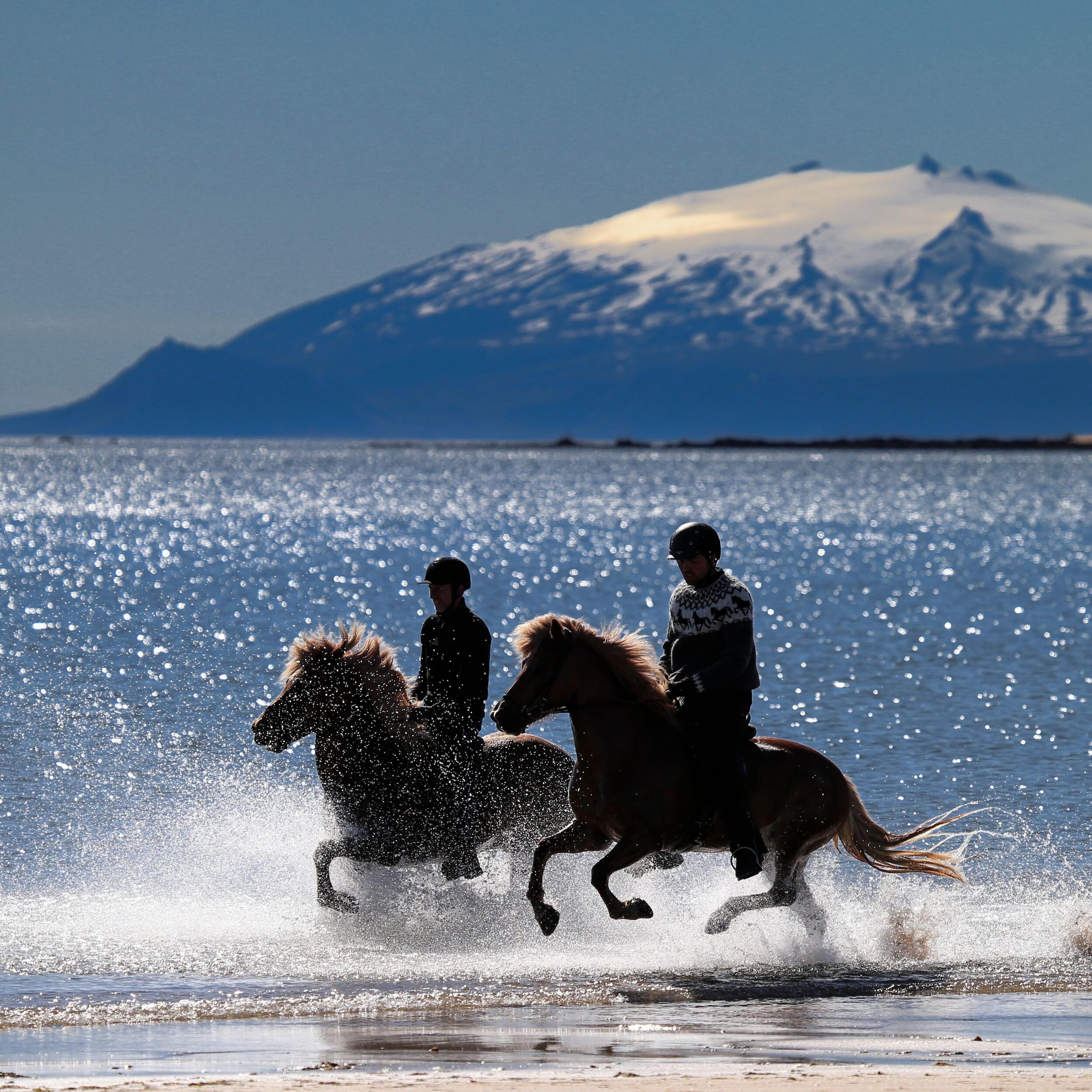 A horse rider enjoying a scenic ride along a sunlit yellow sandy seashore, with a majestic cone-shaped glacier-capped volcano as a breathtaking backdrop.