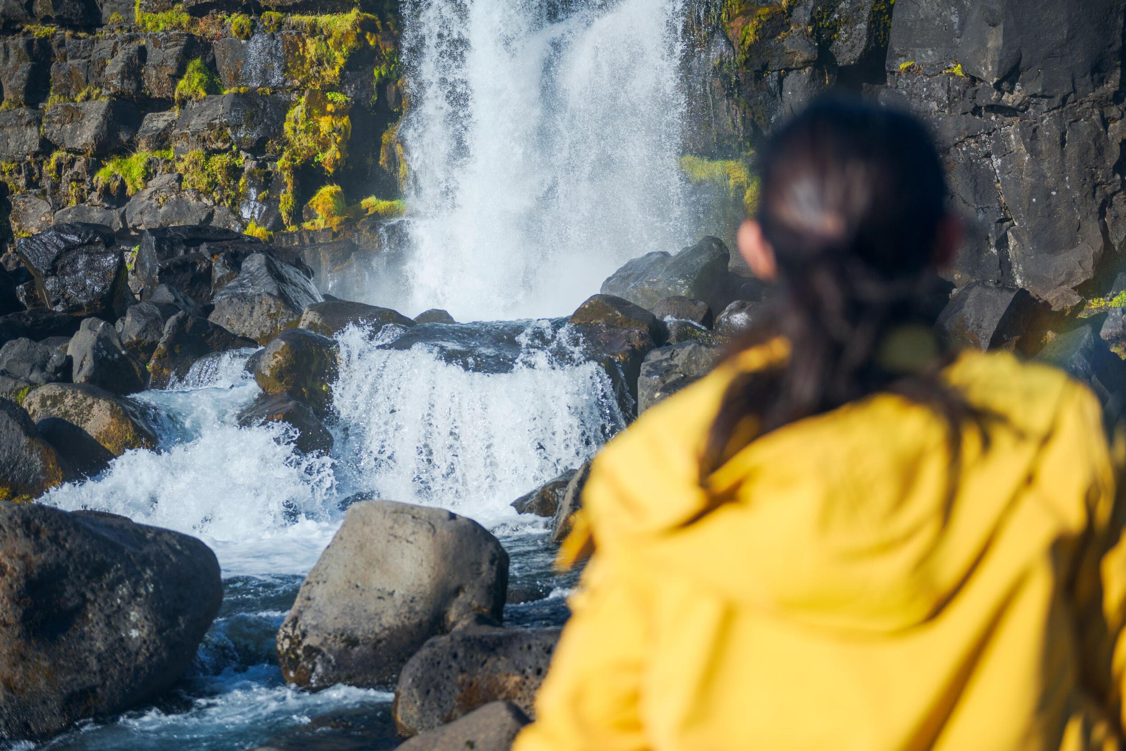 Person in a yellow jacket observing a waterfall cascading over rocks in Thingvellir National Park.