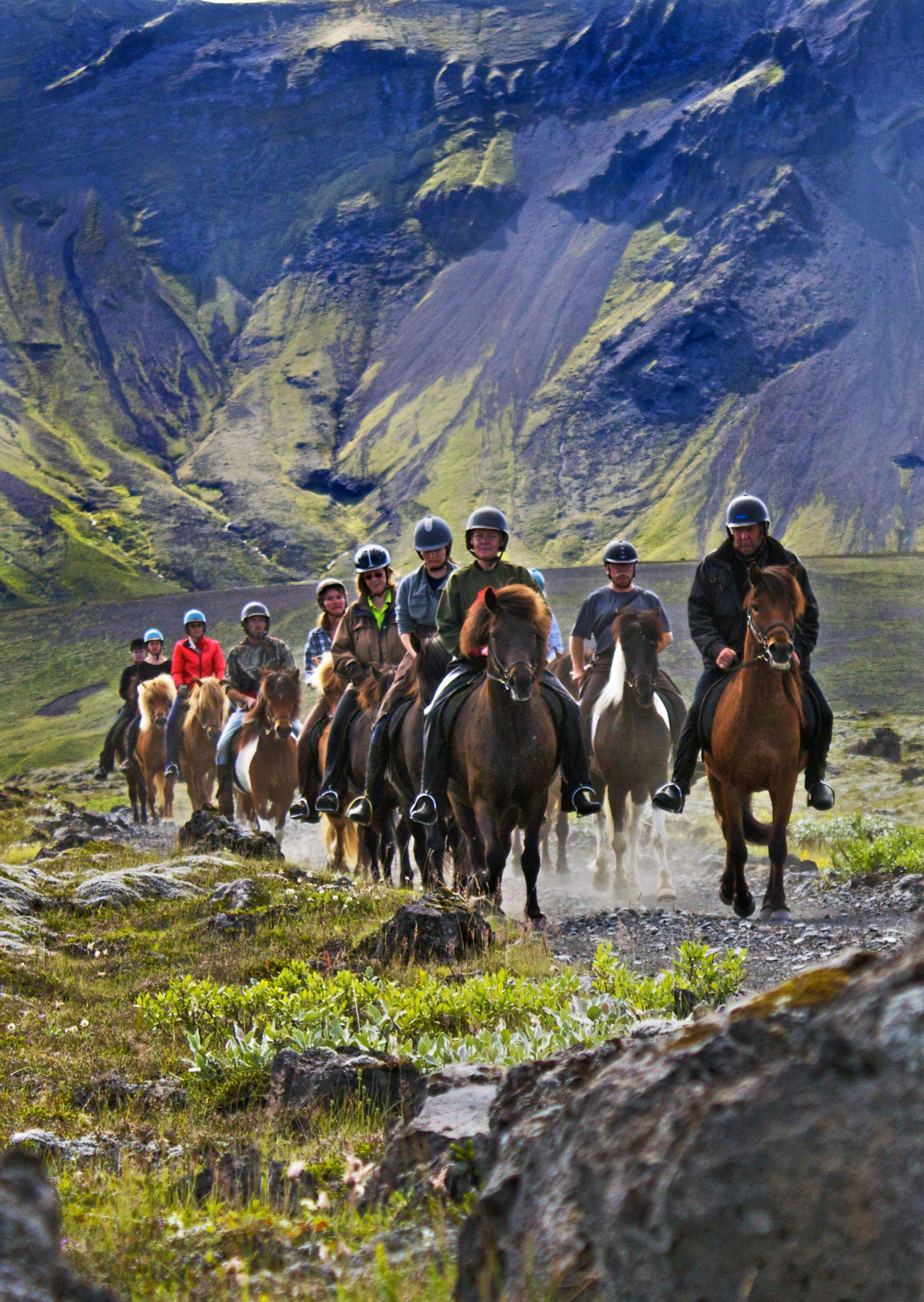 A group of people riding icelandic horses in the icelandic nature