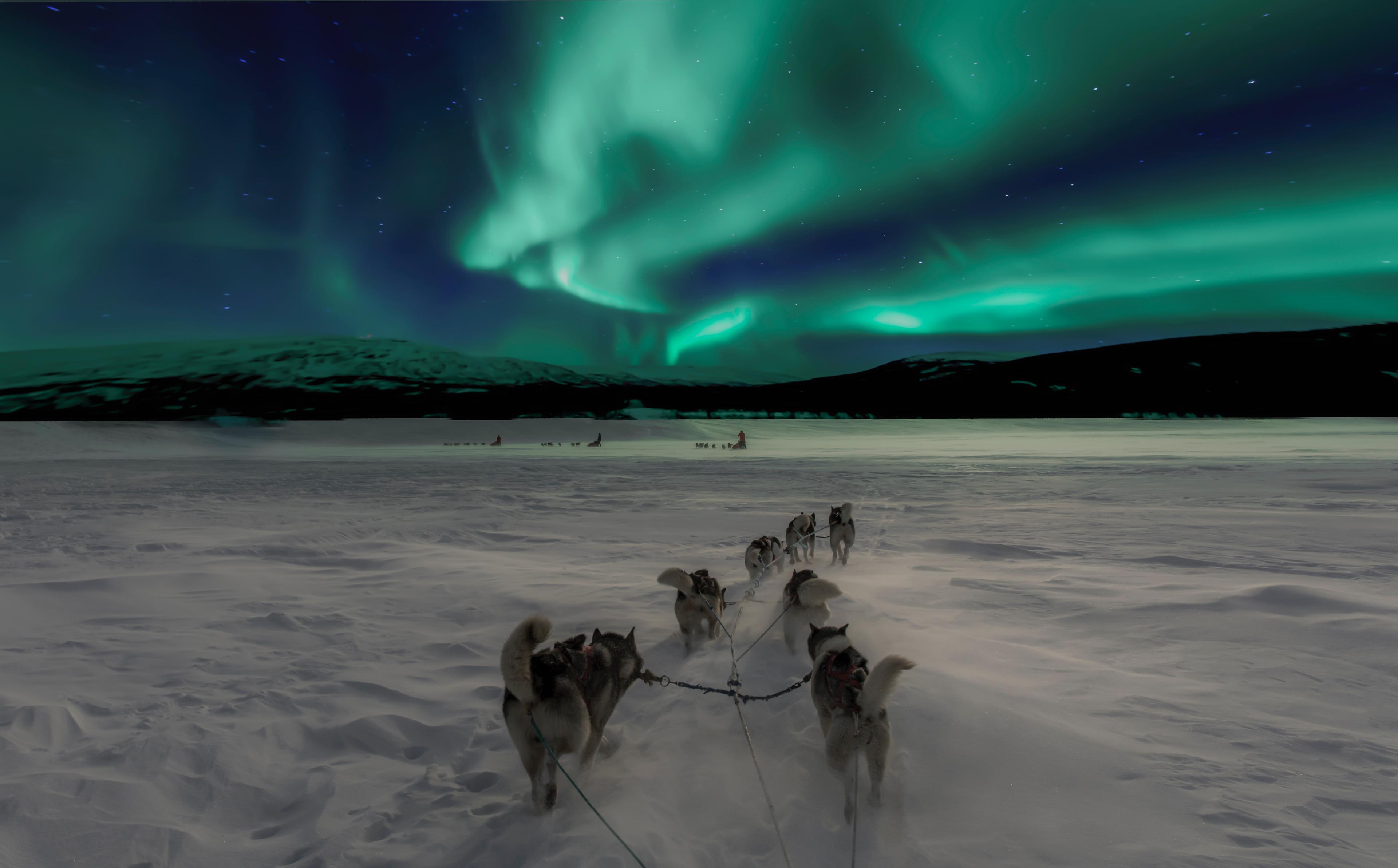 A team of sled dogs races across a snowy landscape under a stunning display of the Northern Lights, with the vibrant green aurora filling the sky above the distant mountains.