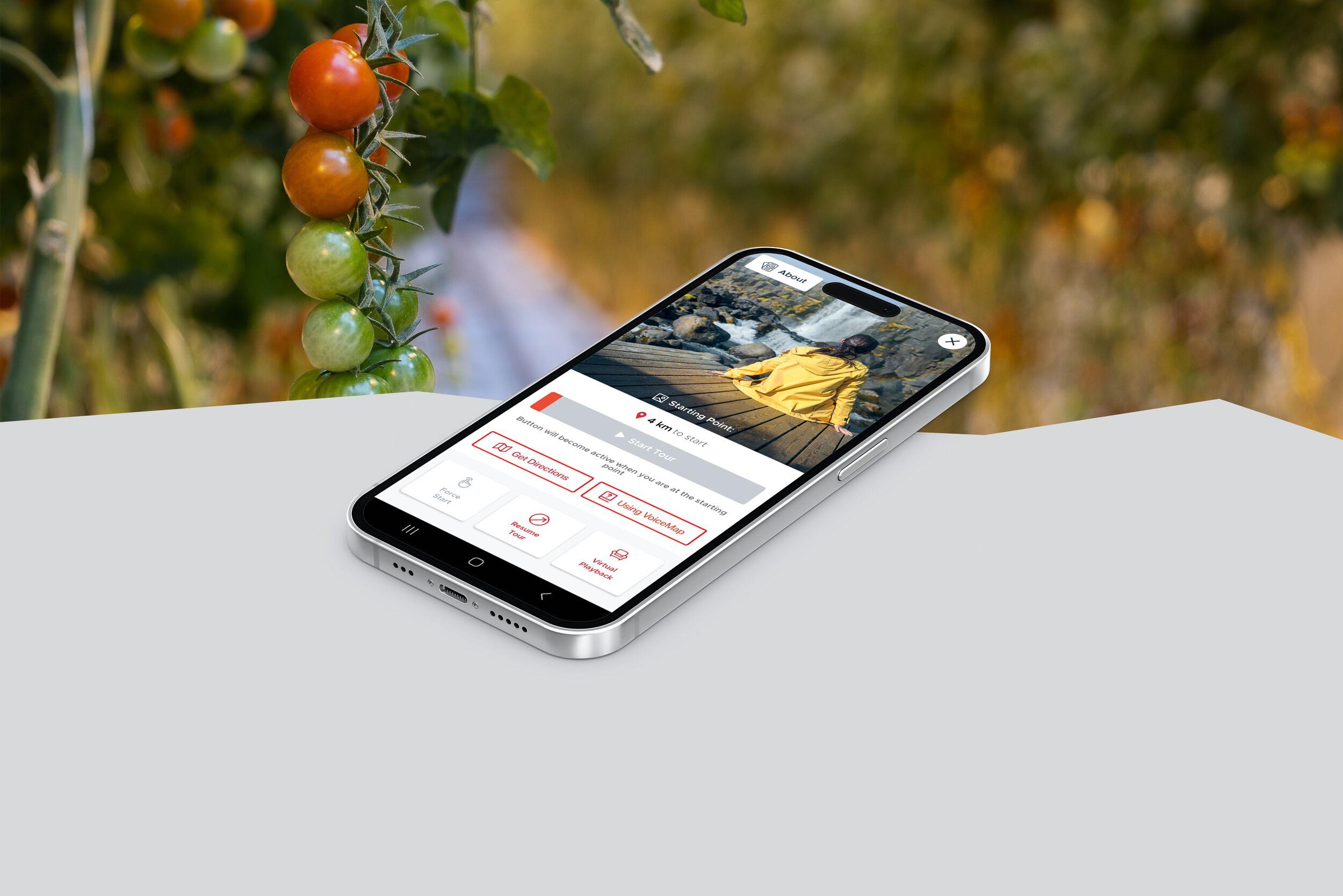 A smartphone displaying VioceMap audio guide app rests on a white surface with a blurred background of tomato plants bearing ripe fruit, suggesting the sharing of agricultural content or sustainable farming practices online