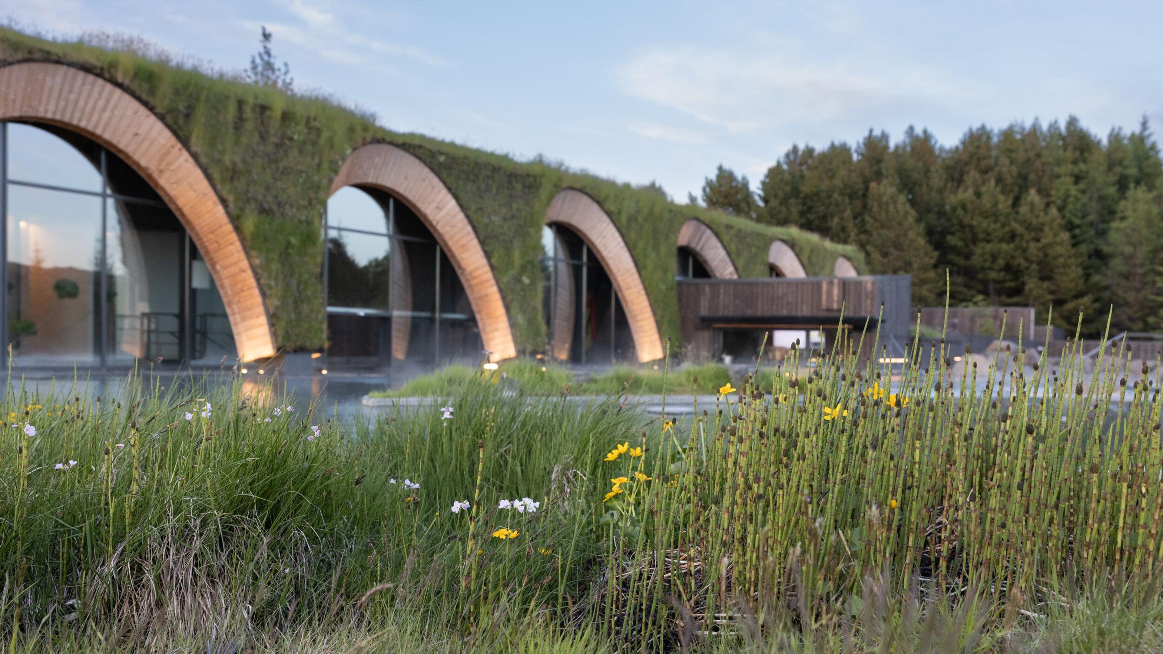 A building with a series of arched, grass-covered roofs and large glass windows, surrounded by wild grasses and trees, with steam gently rising.