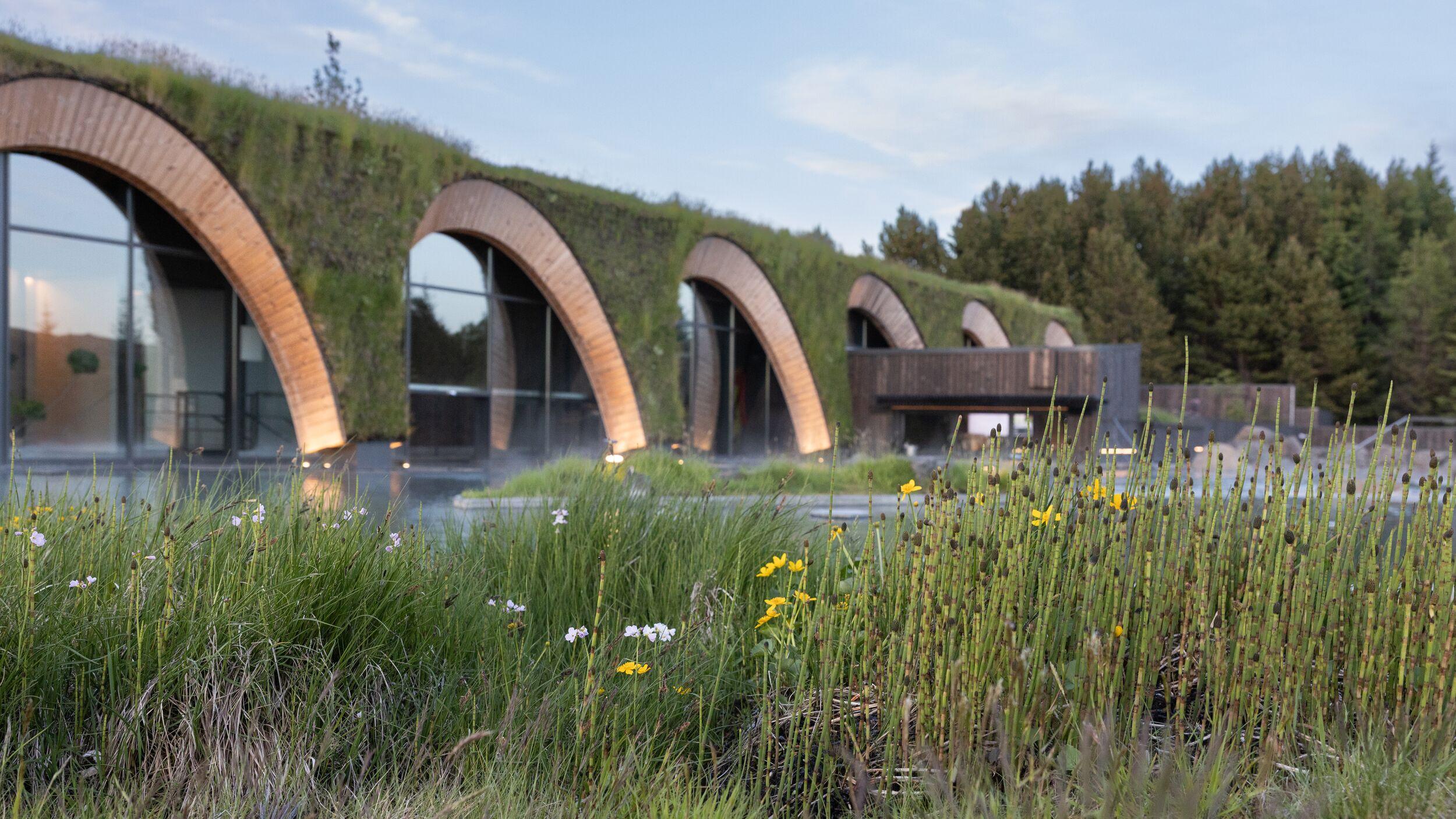 A building with a series of arched, grass-covered roofs and large glass windows, surrounded by wild grasses and trees, with steam gently rising.