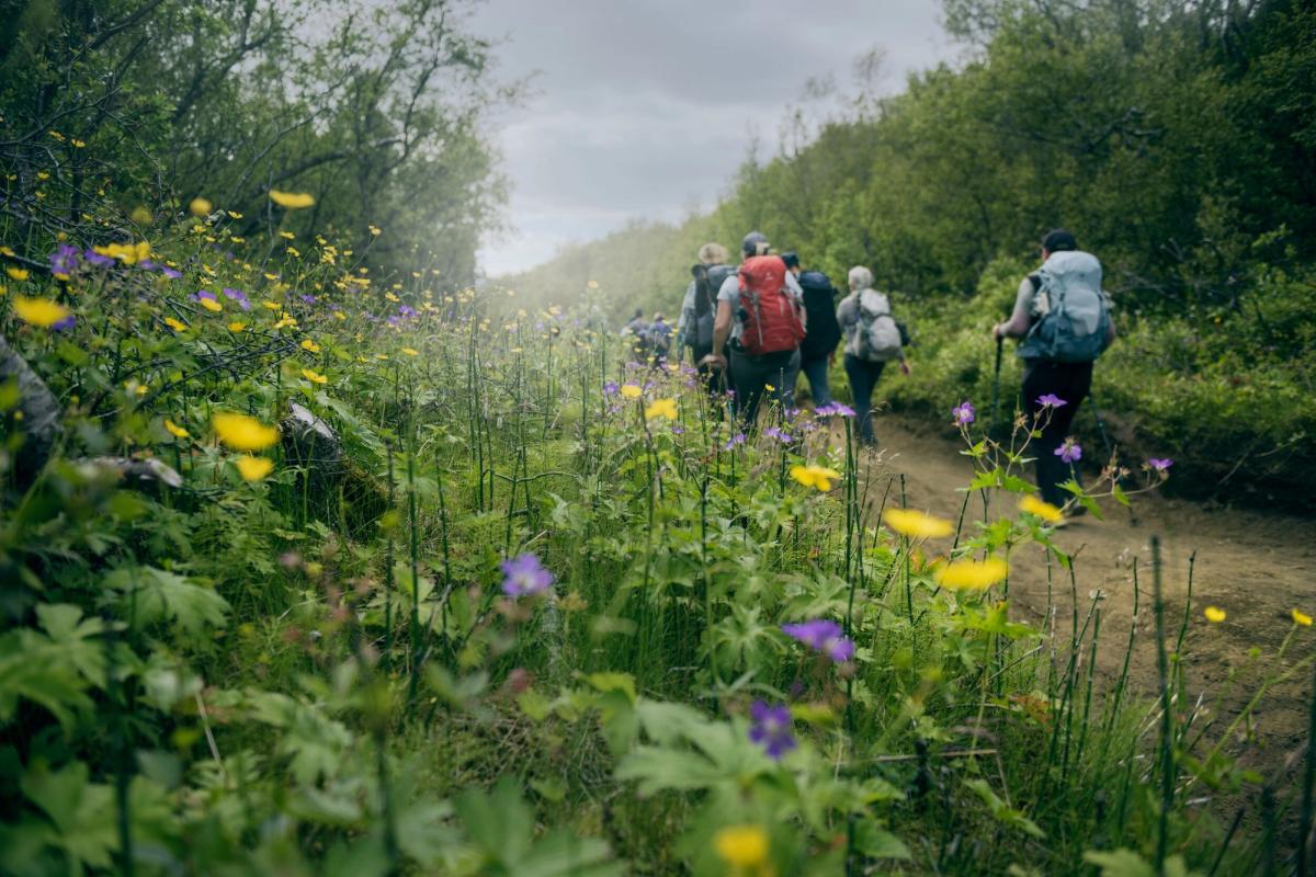 Multi-Day Tours in Iceland | Hiking, Expeditions & Packages