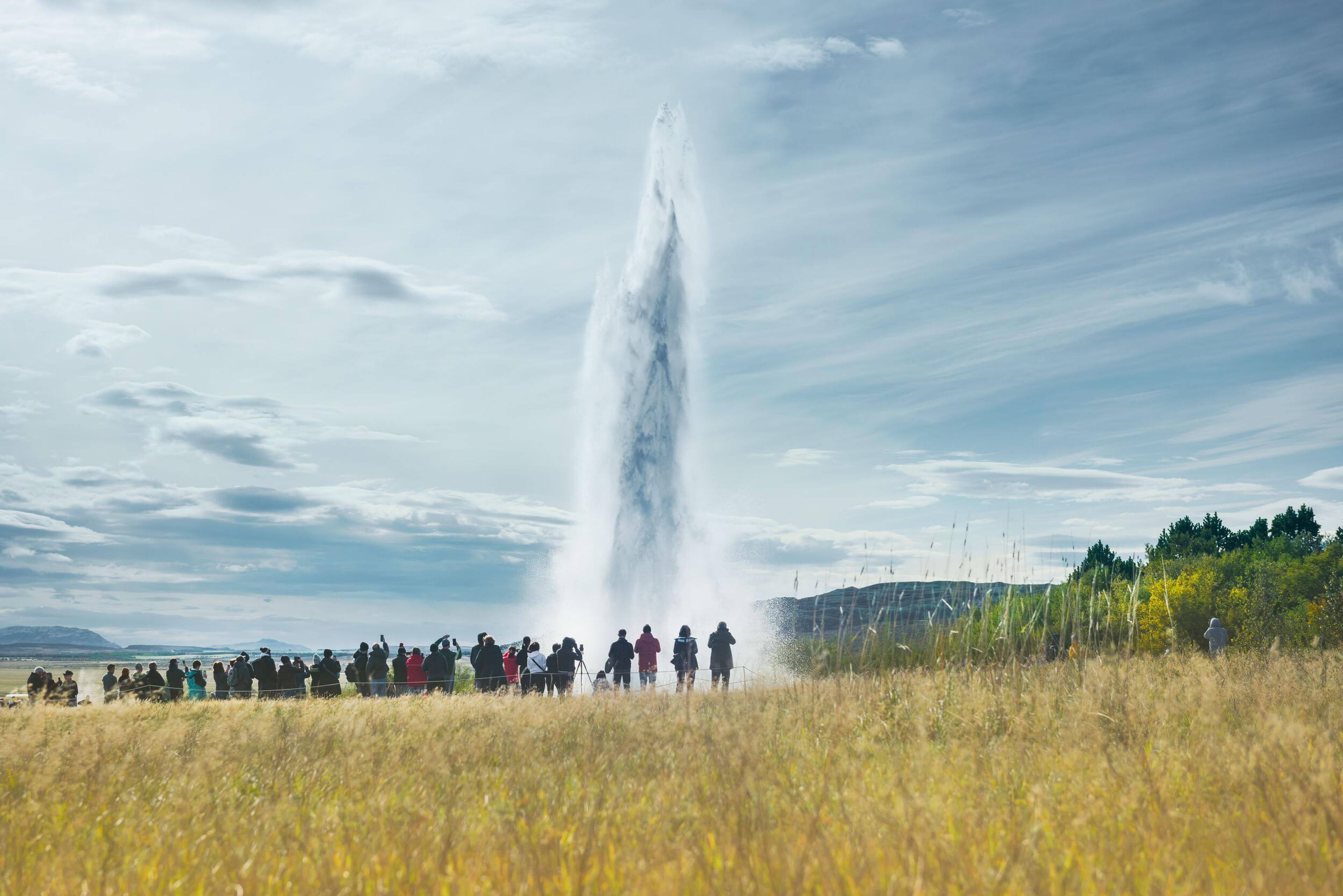 A crowd of onlookers gathered in a golden field witnessing a high geyser eruption, with the jet of water rising dramatically against a backdrop of clear skies and distant hills.