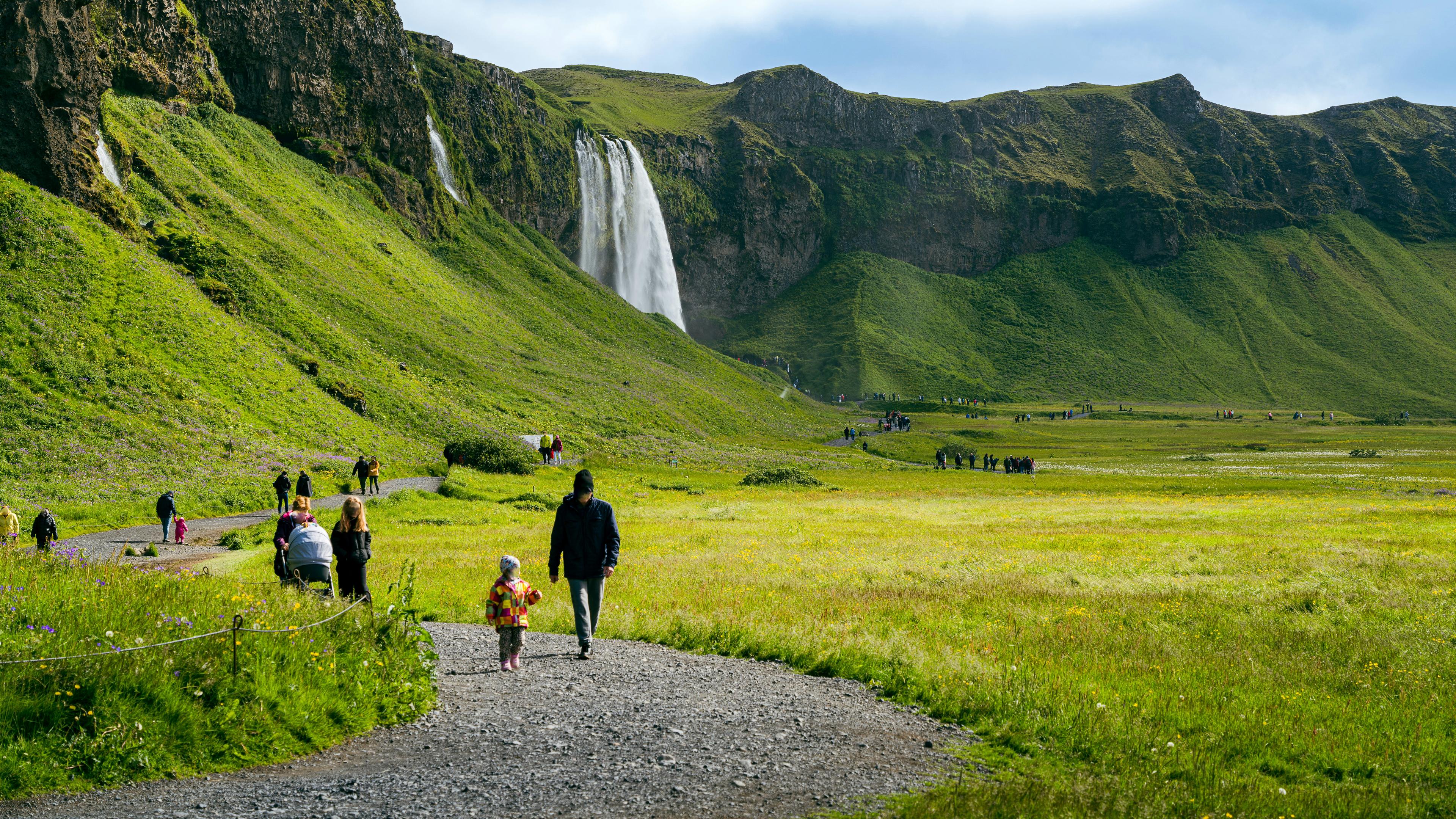 Visitors walk along a gravel path through green fields toward the distant Seljalandsfoss waterfall, set against steep cliffs under a clear sky.