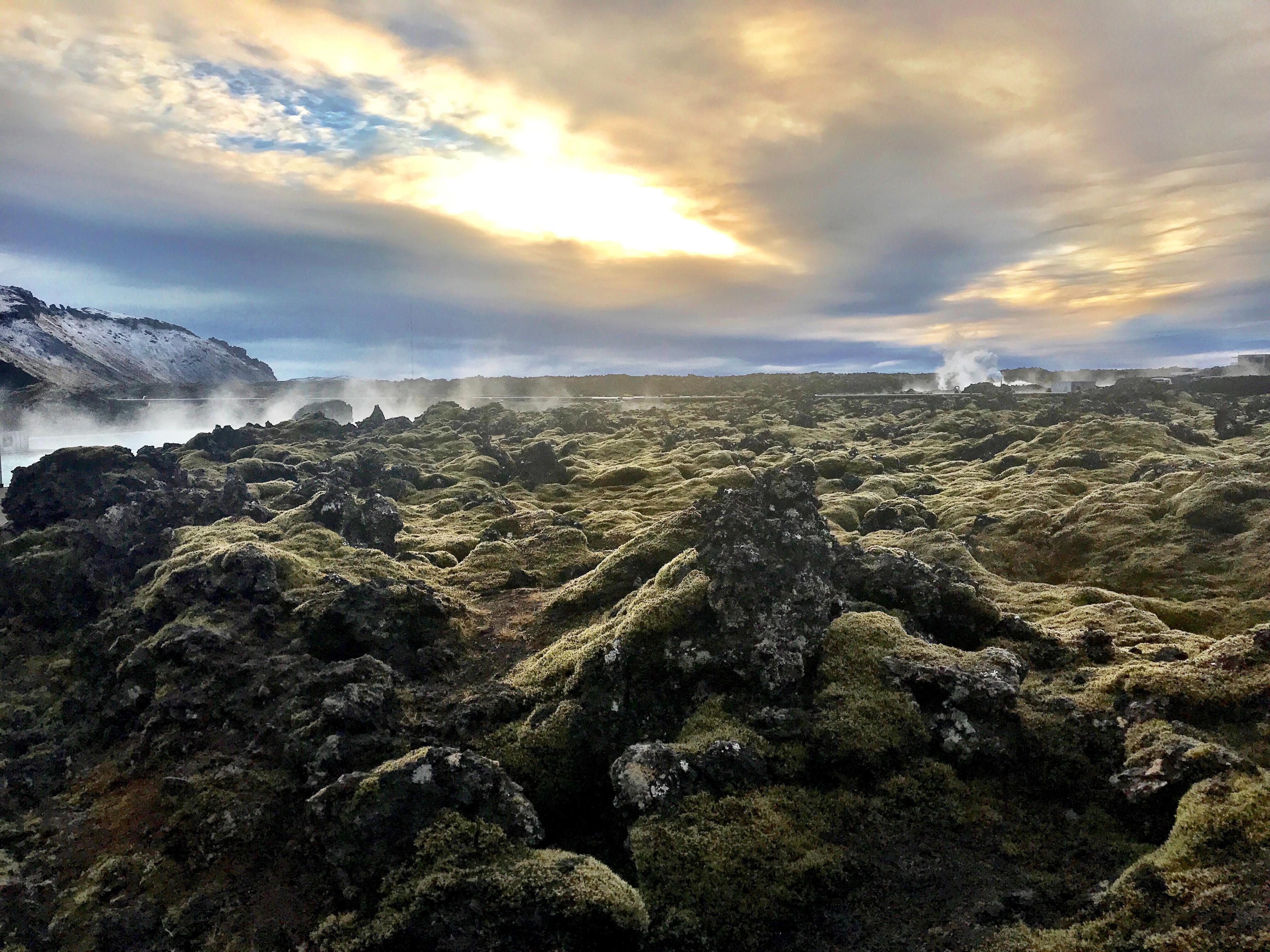 Verdant moss-covered lava field with wisps of smoke rising from the earth.