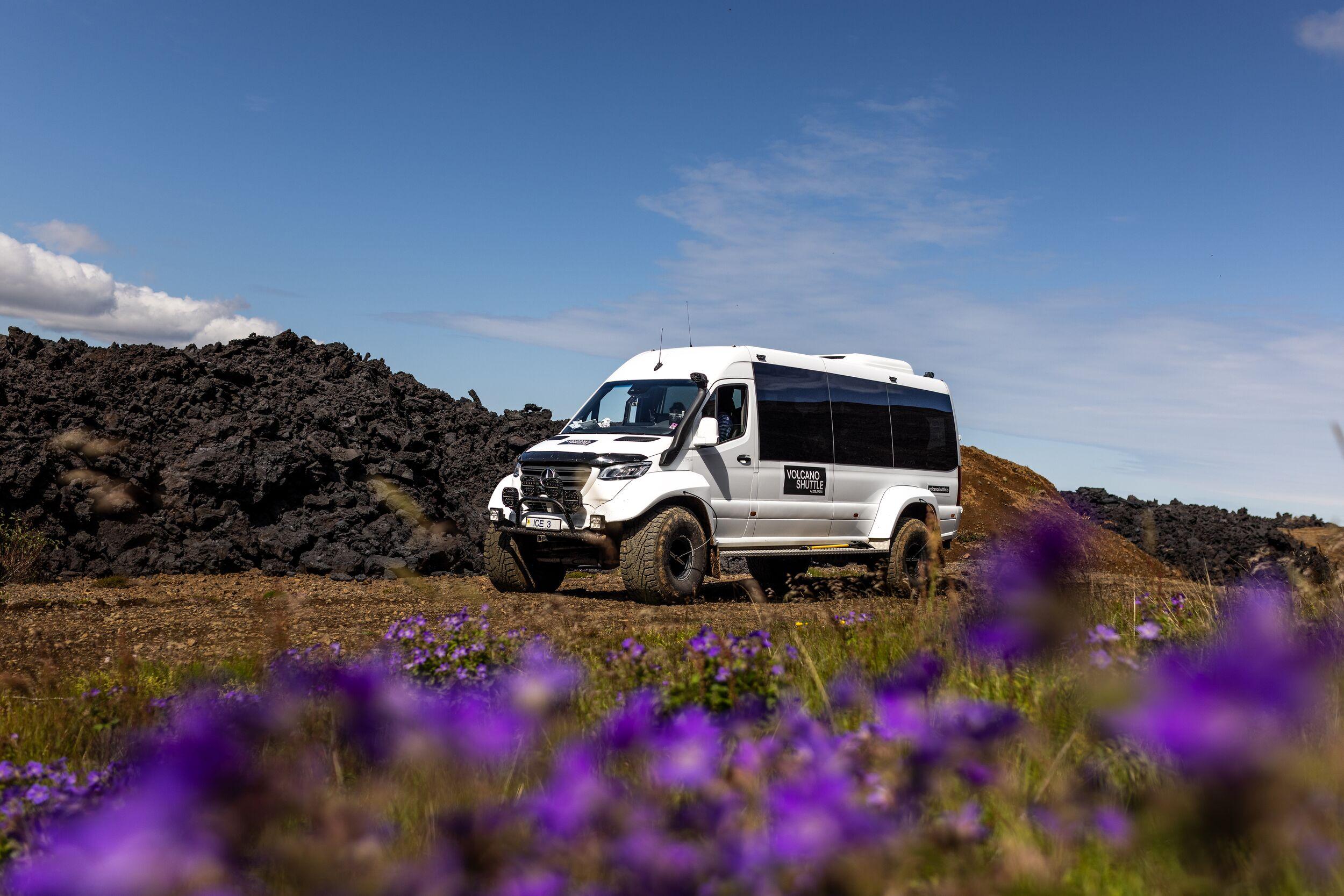 a white van is driving through a field of purple flowers .
