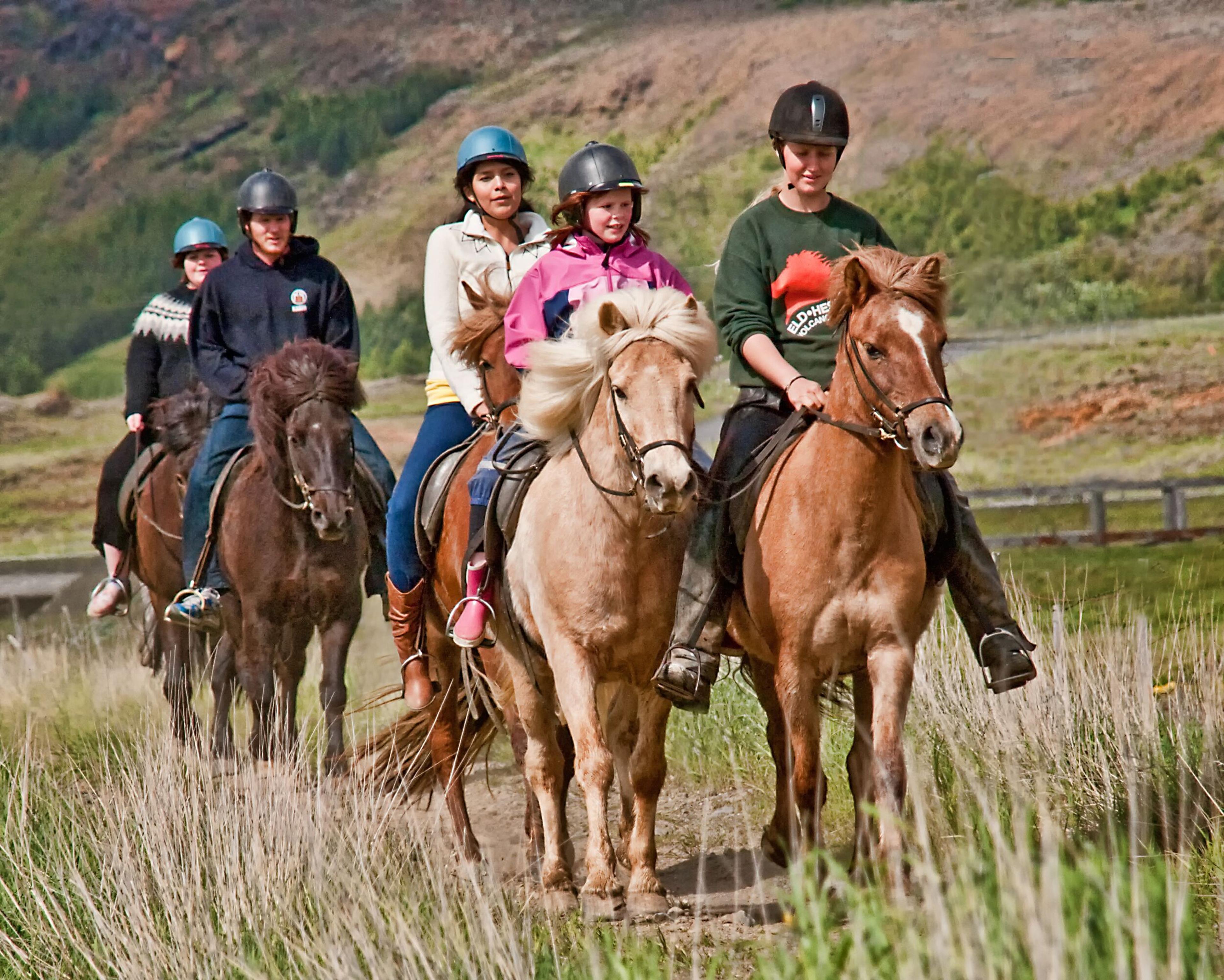 Group of people riding Icelandic horses on a scenic trail, showcasing an outdoor adventure in Iceland.