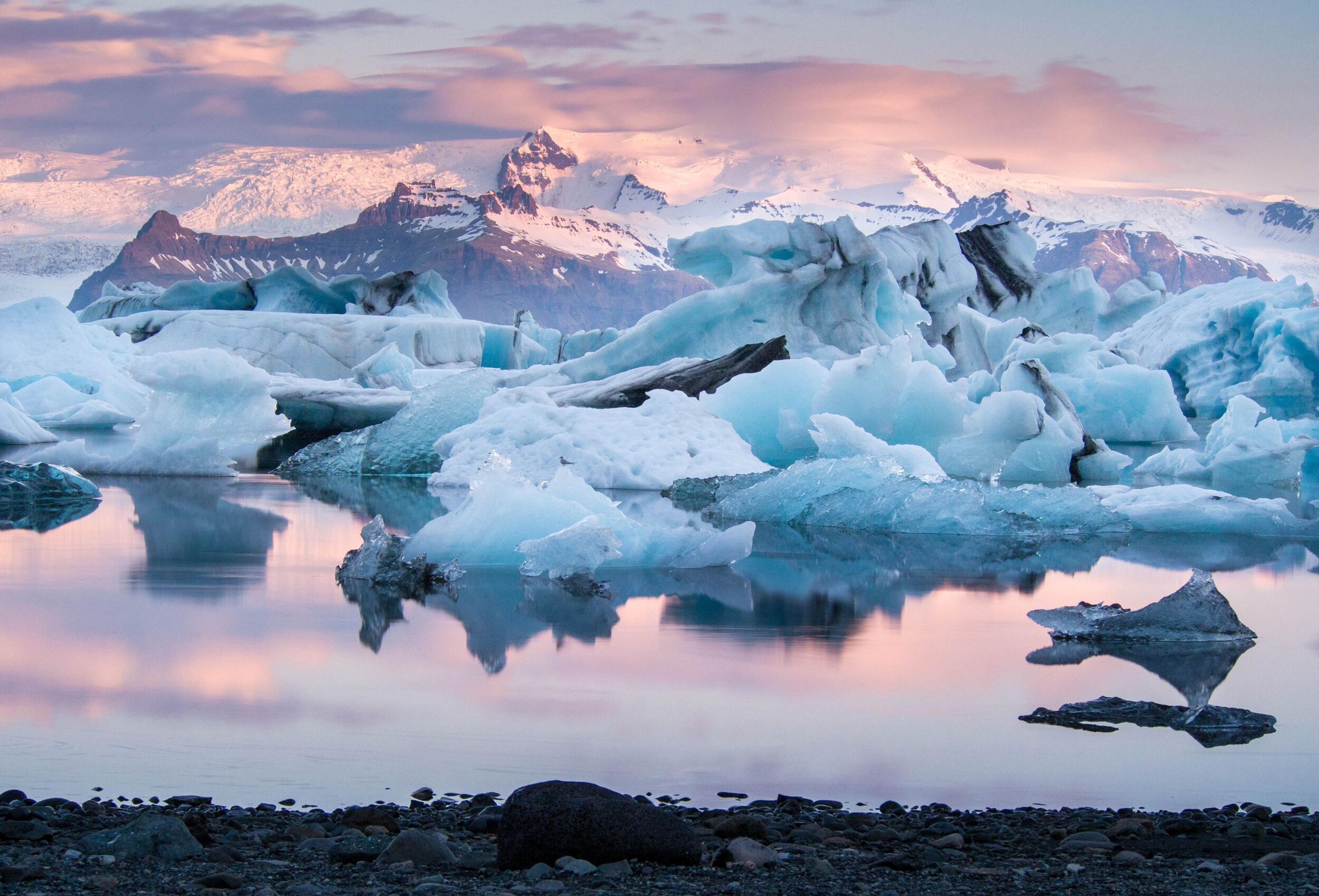 Icebergs floating in a glacial lagoon with reflections in the calm water, under a pastel-colored sky with pink hues at dawn or dusk, and snow-capped mountains in the distance.