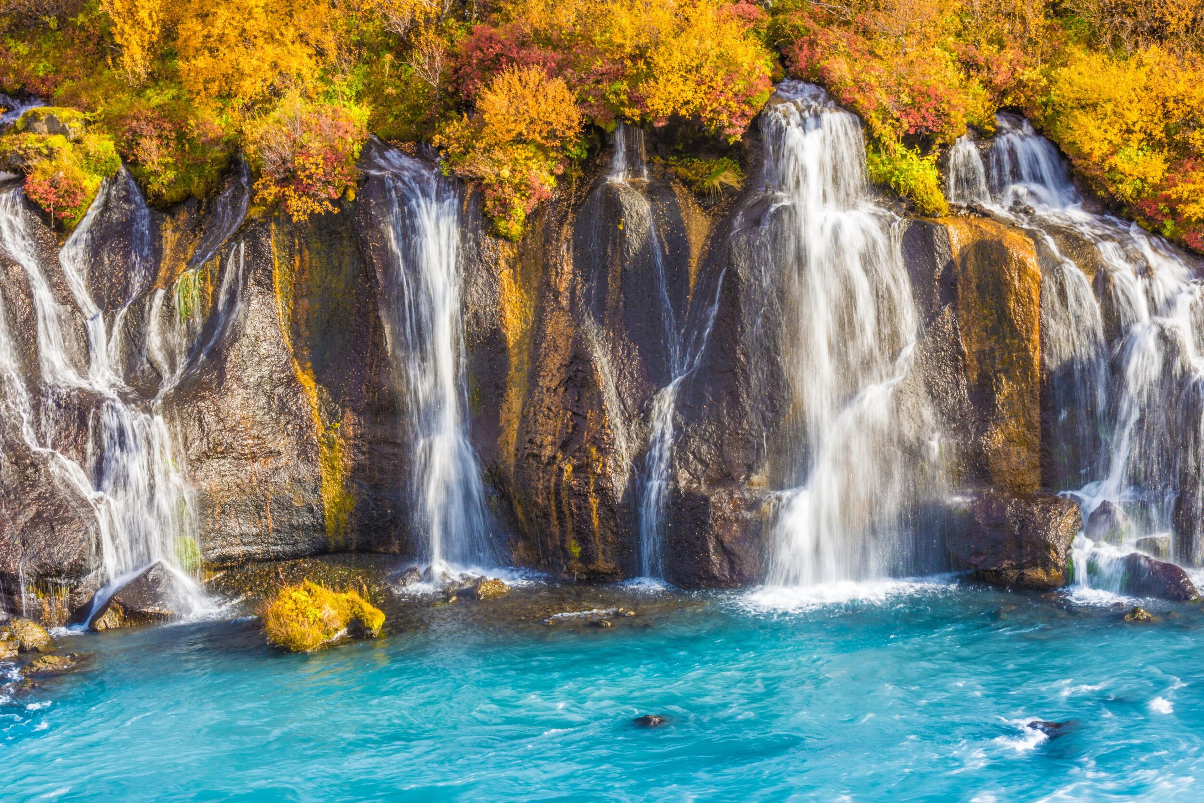 The cascading streams of Hraunfossar waterfalls, flowing through mossy rocks into a turquoise river, surrounded by lush greenery on the Silver Circle route Iceland.