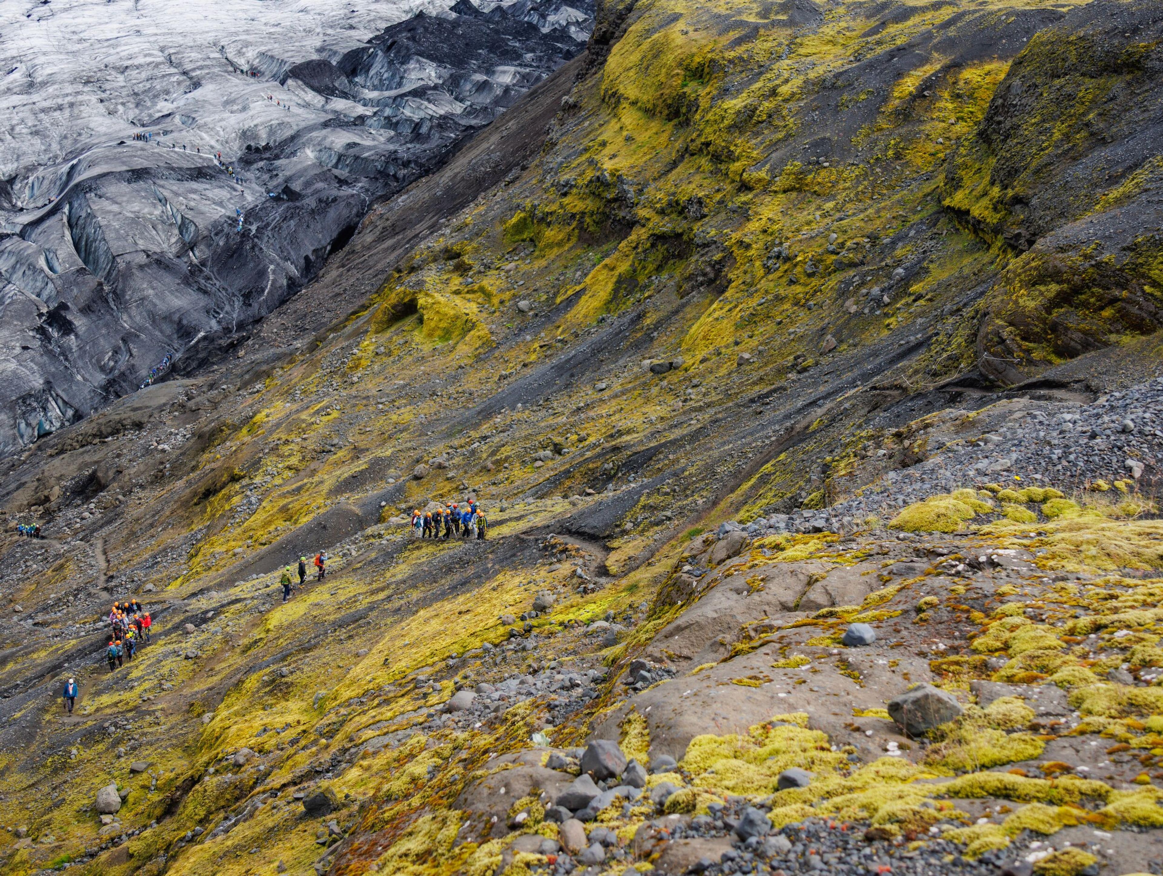 Hikers walk on a mossy, rocky trail beside a glacier.