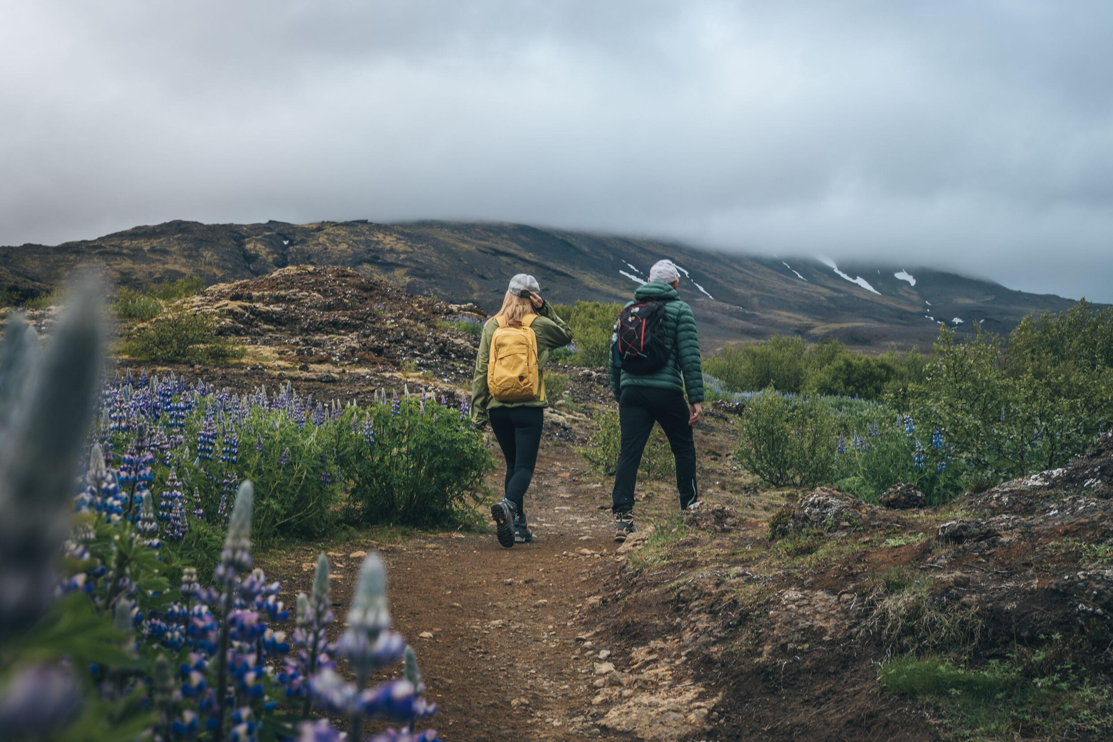 Two hikers, one in a yellow jacket and the other in a green jacket, walking on a trail surrounded by blooming purple lupine flowers, with a misty, mountainous landscape in the background.