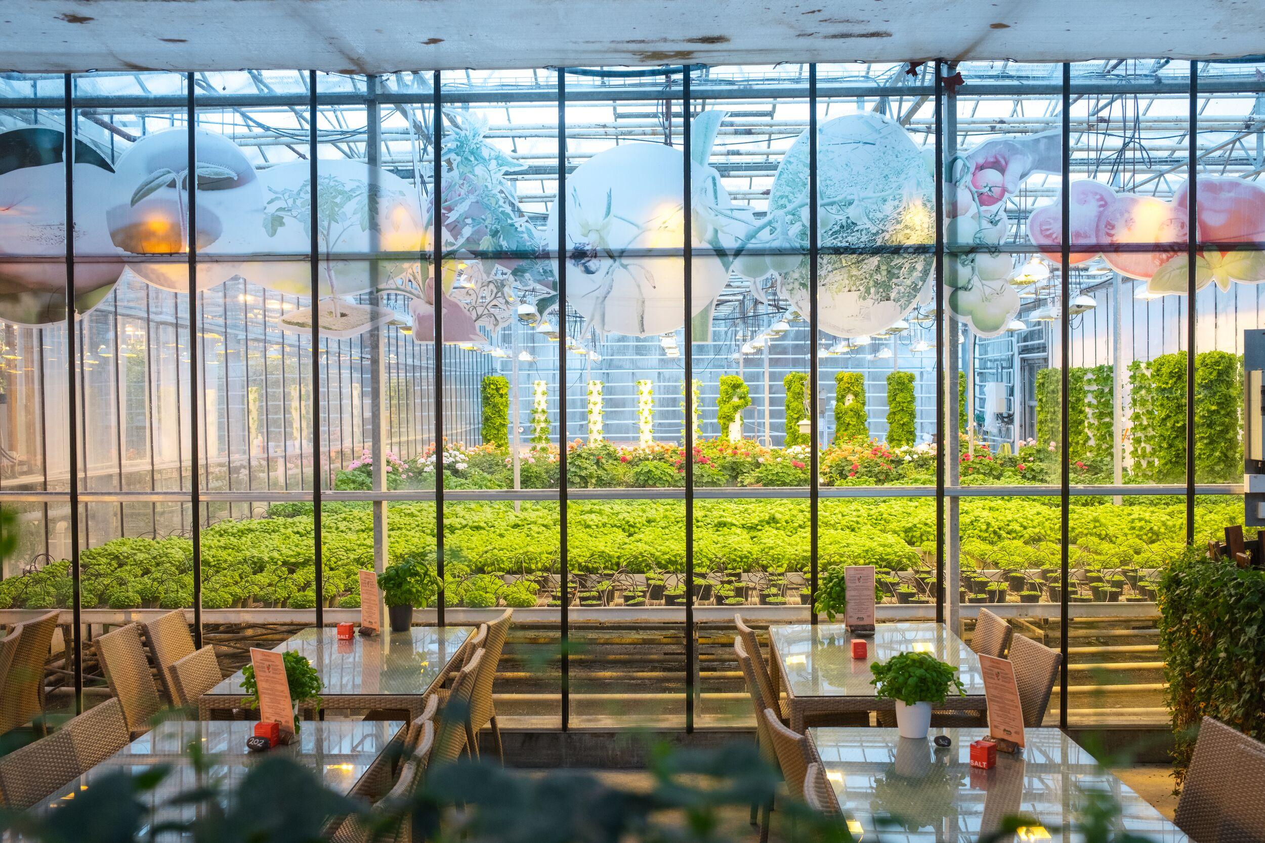 Cafe dining tables looking into a vast, modern greenhouse filled with rows of green plants and suspended decorative orbs.