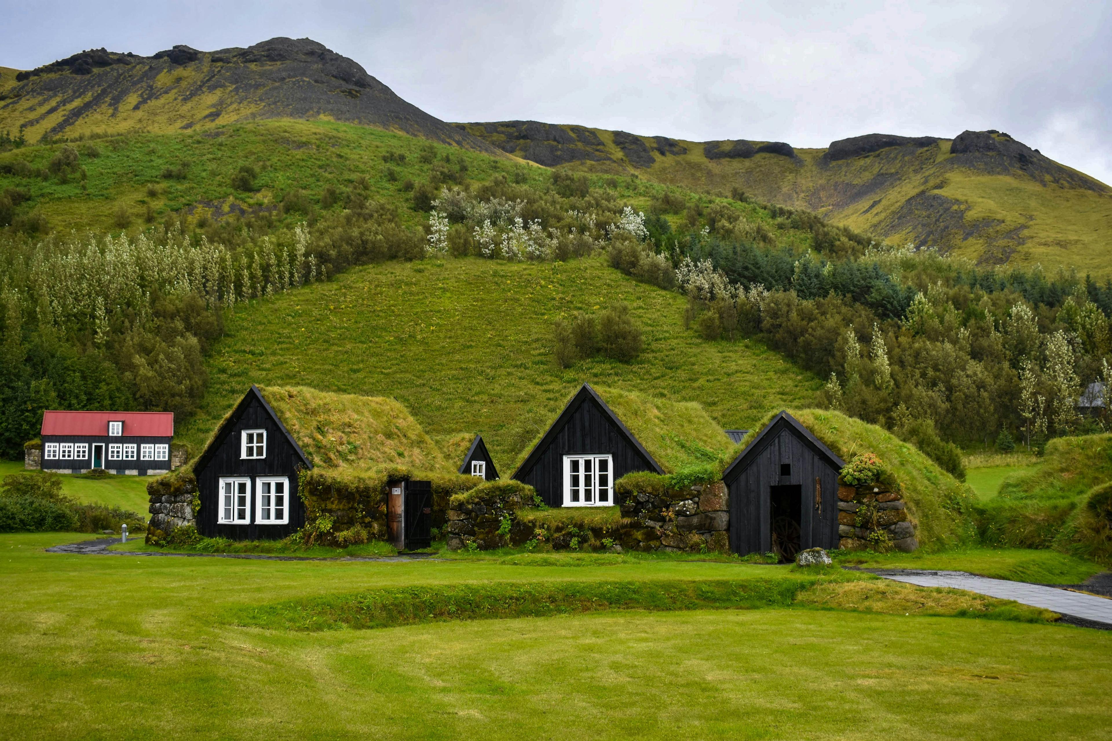 Traditional turf houses with black walls and grass roofs in a lush green setting with rolling hills and a forested area in the background.