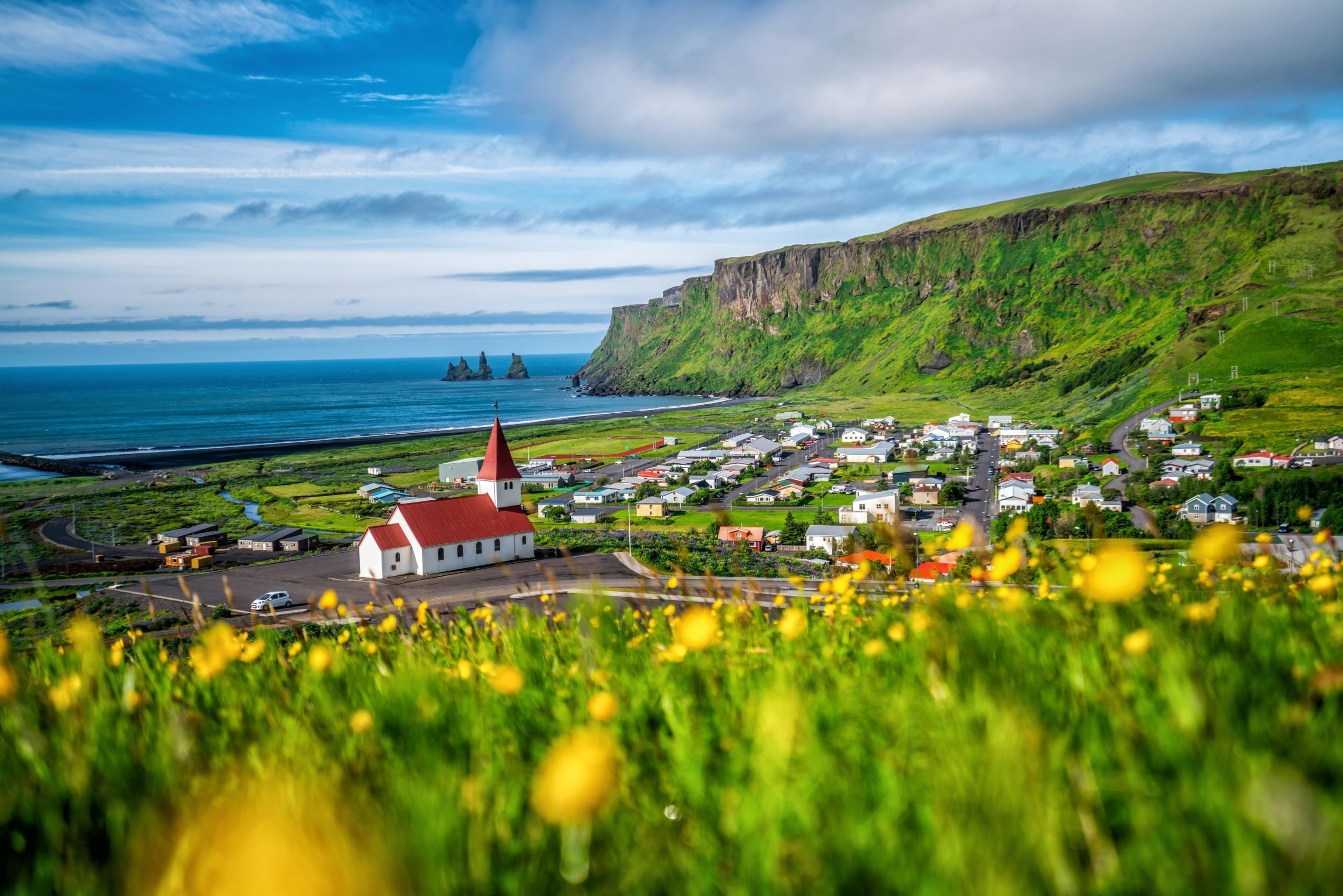 Quaint red-roofed church amidst a lush green landscape speckled with yellow flowers, with the contrasting black sand beach and sea stacks looming in the background.