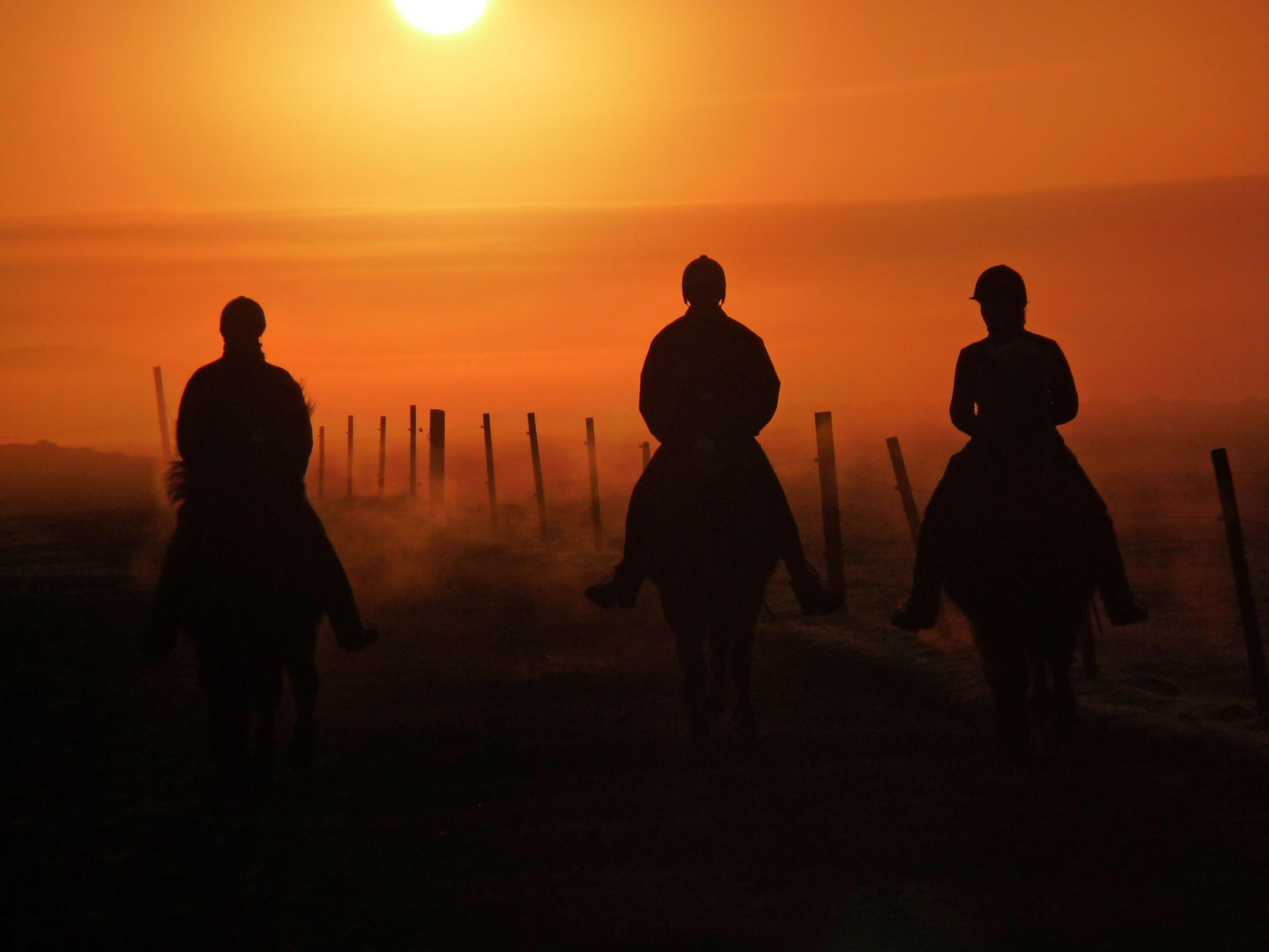 three people riding horses towards a sunset in Iceland