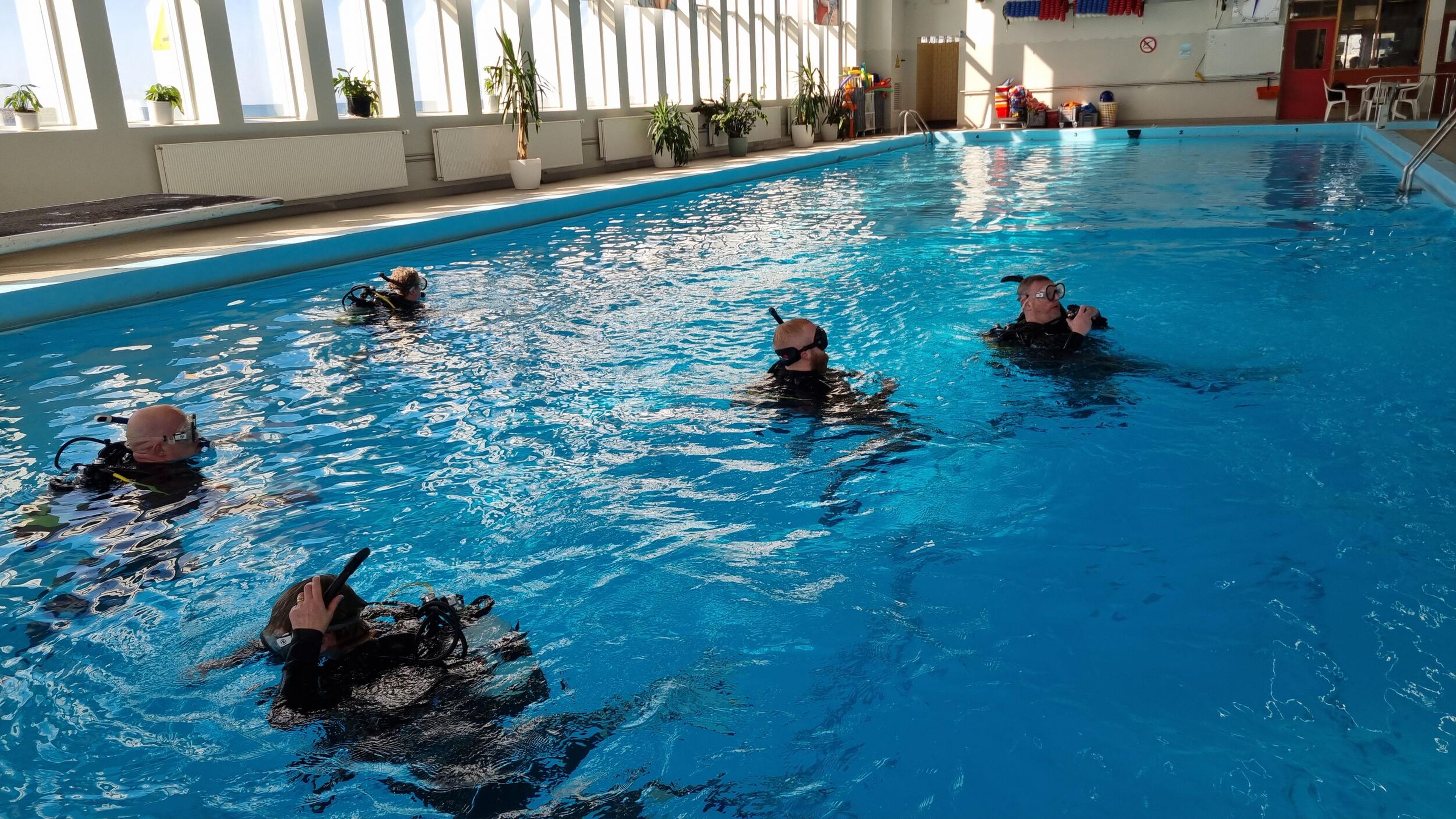 People in scuba gear training in an indoor swimming pool.