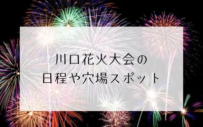 川口花火大会2024|穴場はここ!混雑回避のおすすめスポット紹介