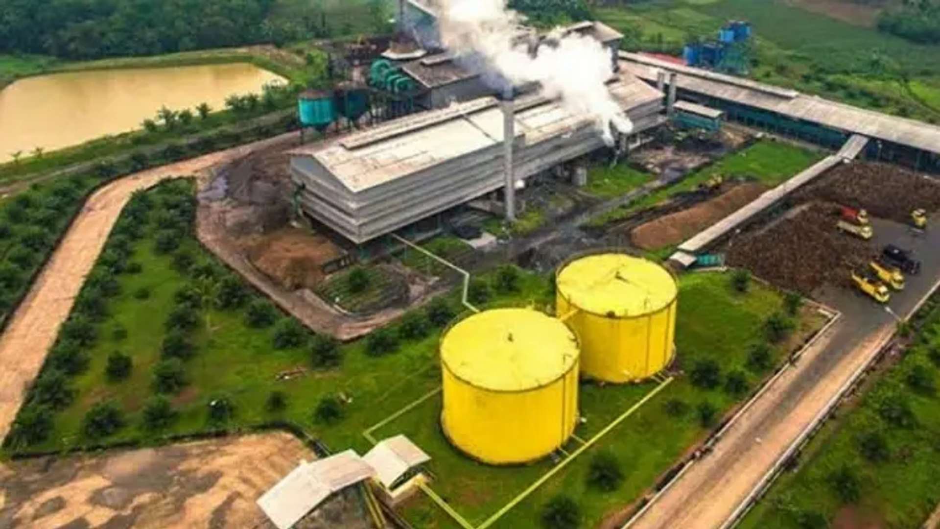 Tujuan dan Aspek Studi Kelayakan untuk Pabrik Kelapa Sawit